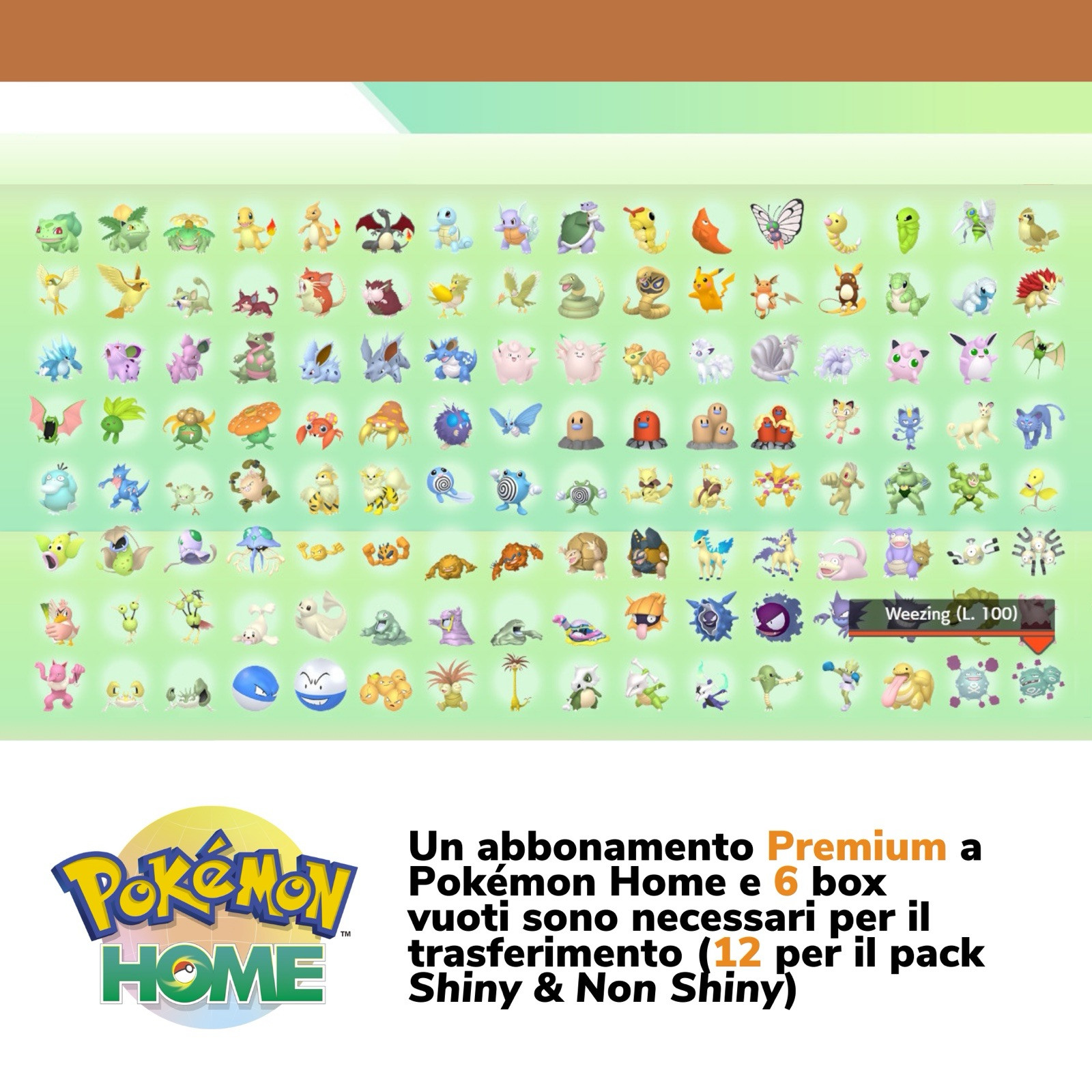 Pokemon Let’s Go Pikachu Completo Shiny Living Dex Pokedex Pokémon HOME OT 6IV