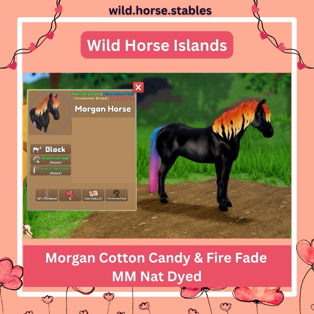 Wild Horse Islands – Mismatch Morgan