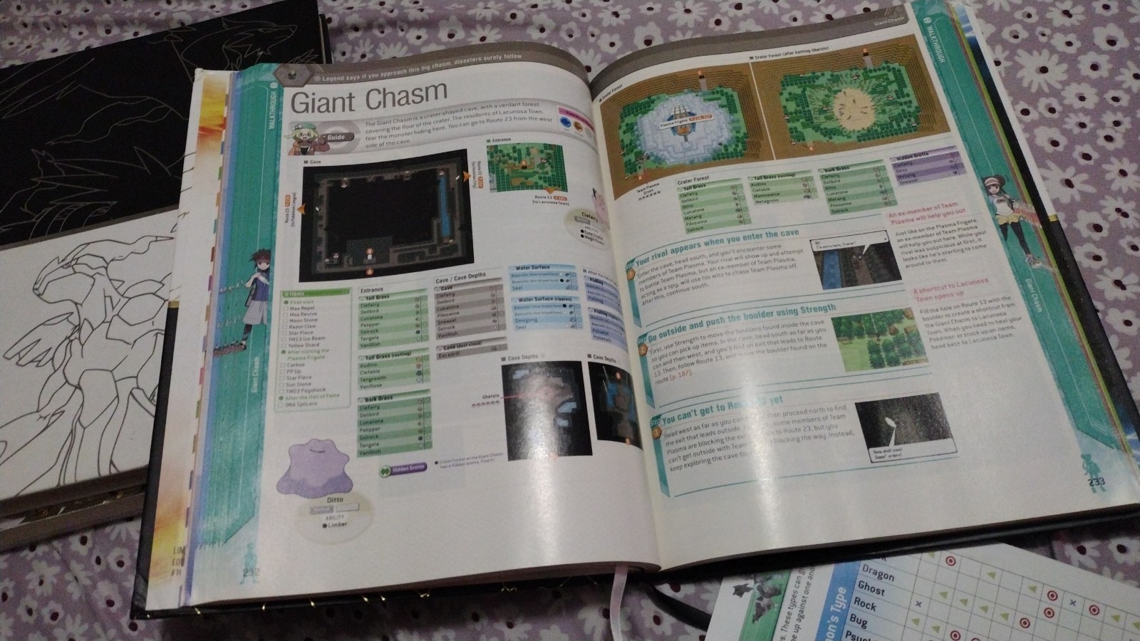 Pokemon Black & White LTD Collector’s Edition Strategy Guide & Unova Pokedex