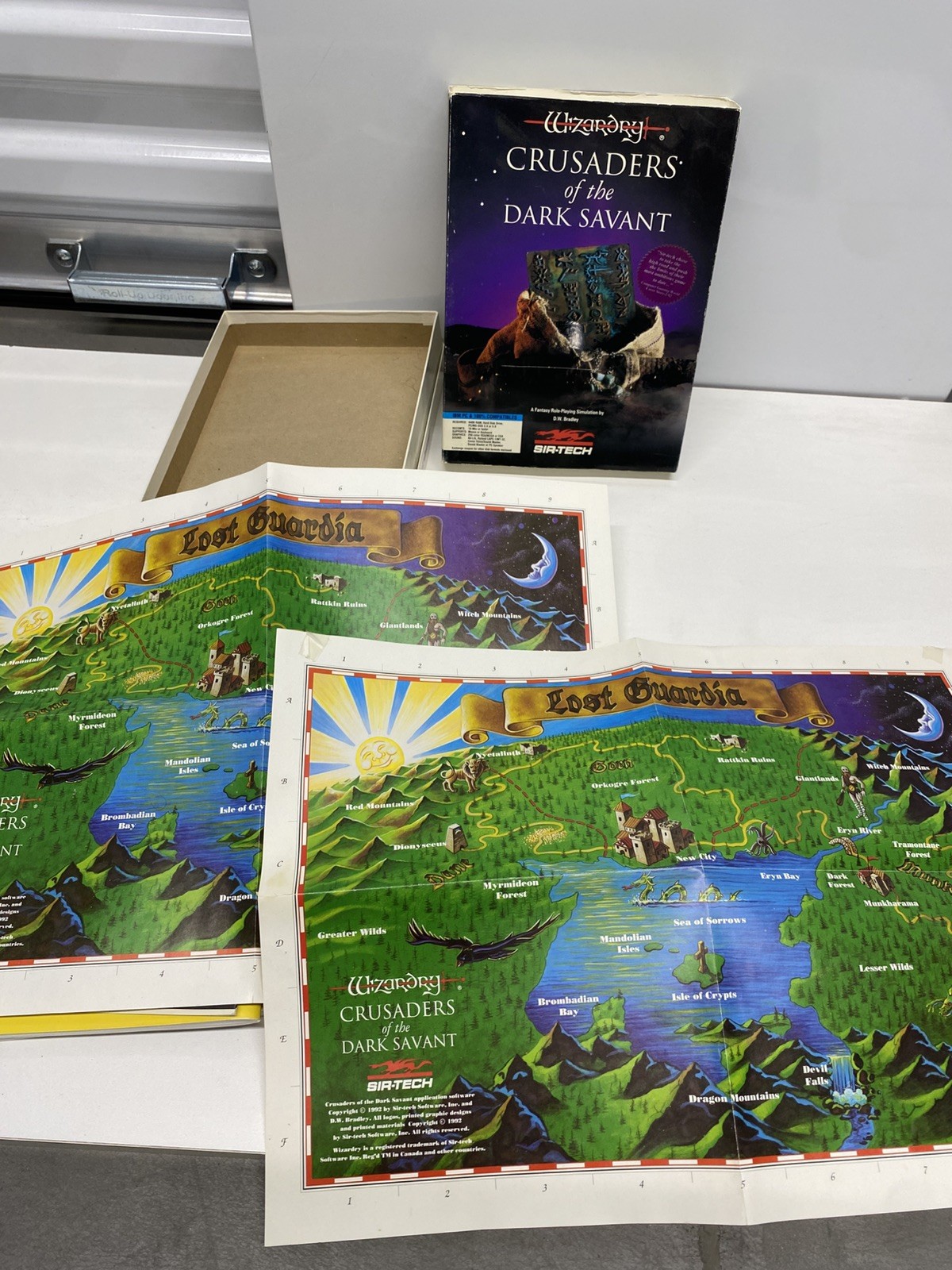 Wizardry: Crusaders of the Dark Savant (PC, 1992 READ**)