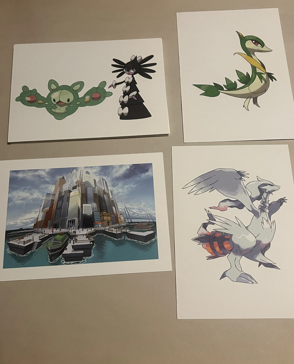 Pokemon Black Version And White Version – Art Folio – Free Shipping!