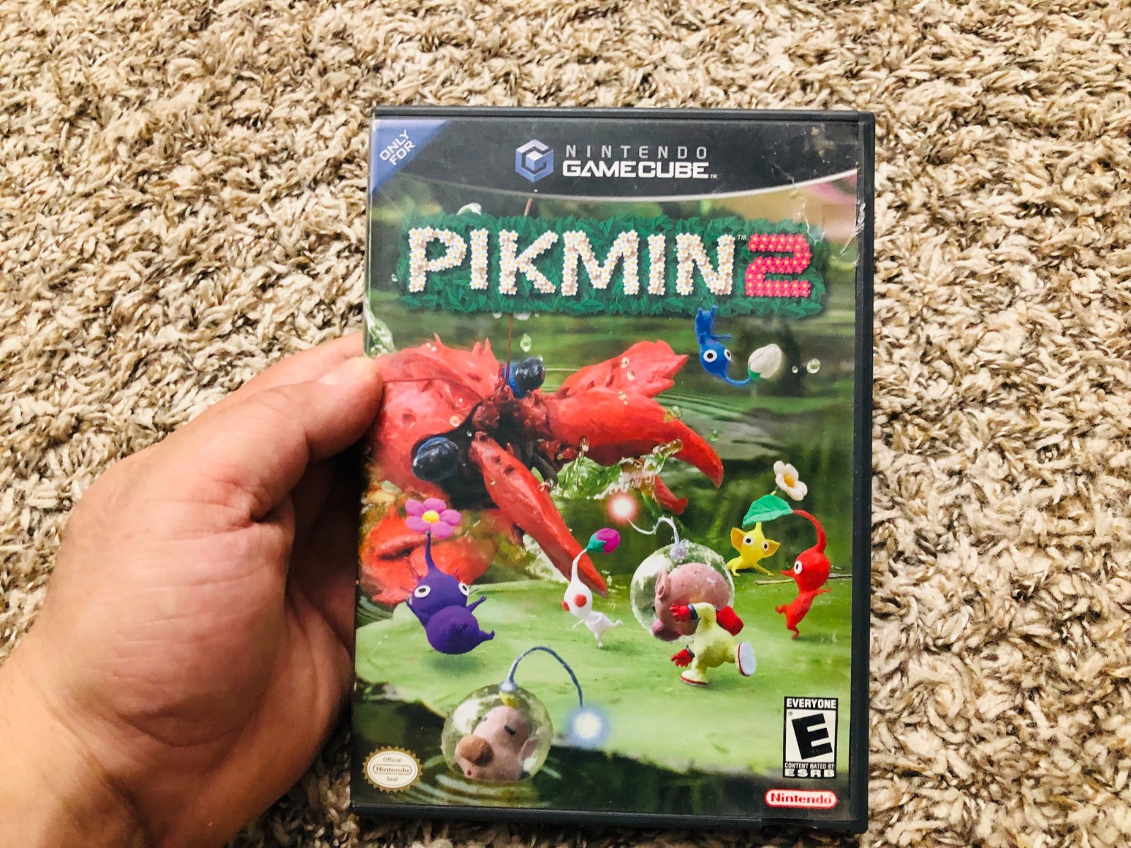 Pikmin 2 (Nintendo Gamecube, 2004) Case and disc (no manual) Tested