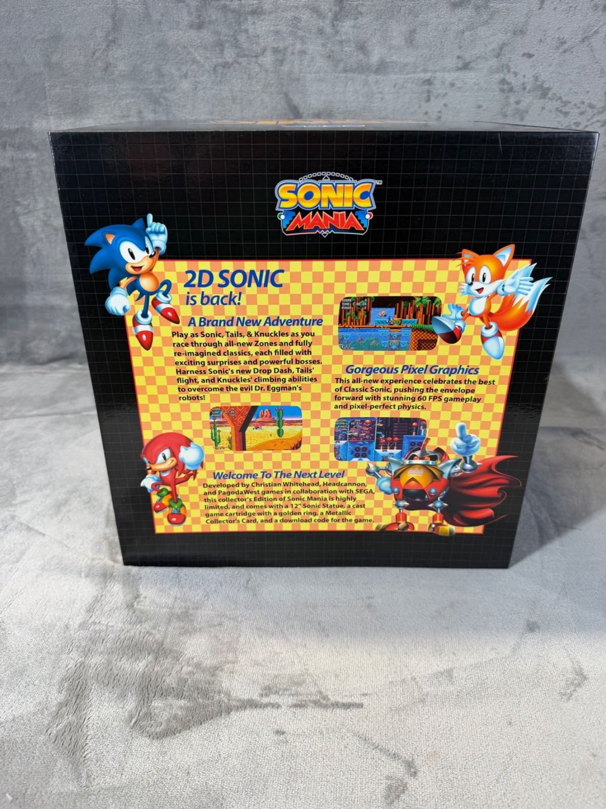 Sonic Mania Collectors Edition Sony PlayStation 4 PS4 Video Game Sega *NO GAME*