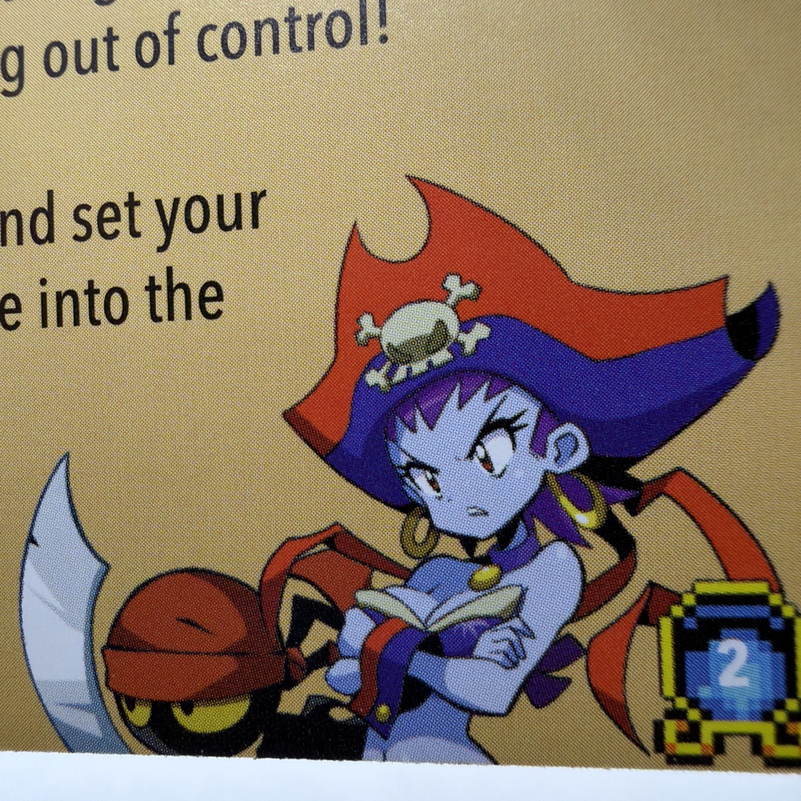 Shantae Advance Risky Revolution LRG 10th Anniversary Variant (Nintendo Switch)