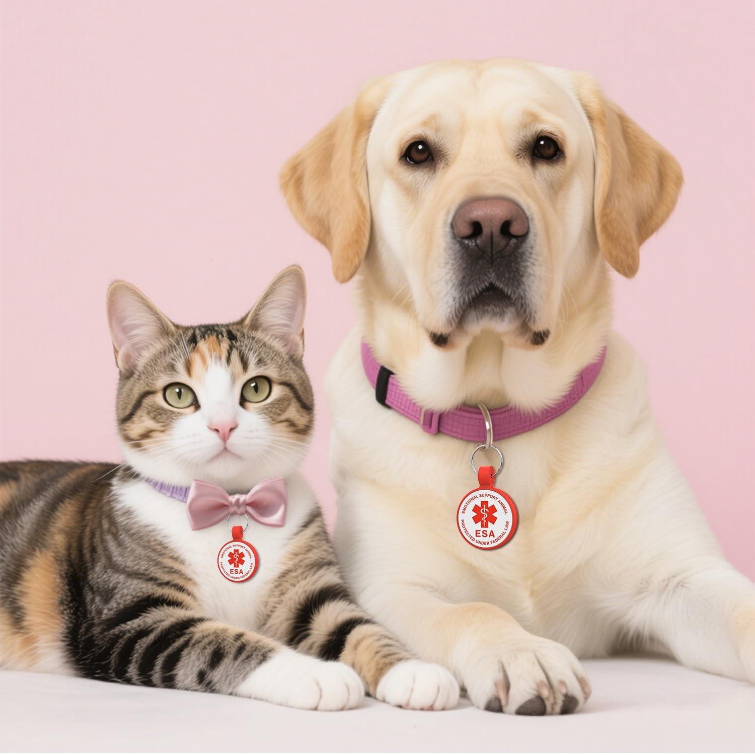 ESA Dog Tag, QR Code Modifiable Free Pet Online Profile, Small, Red