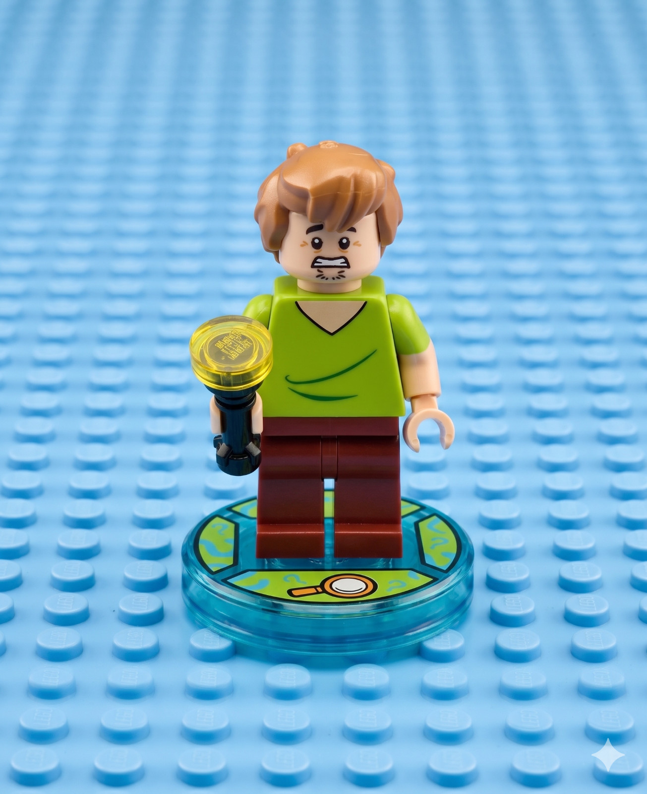 LEGO Dimensions 71206 Shaggy Character Figure Pack D7