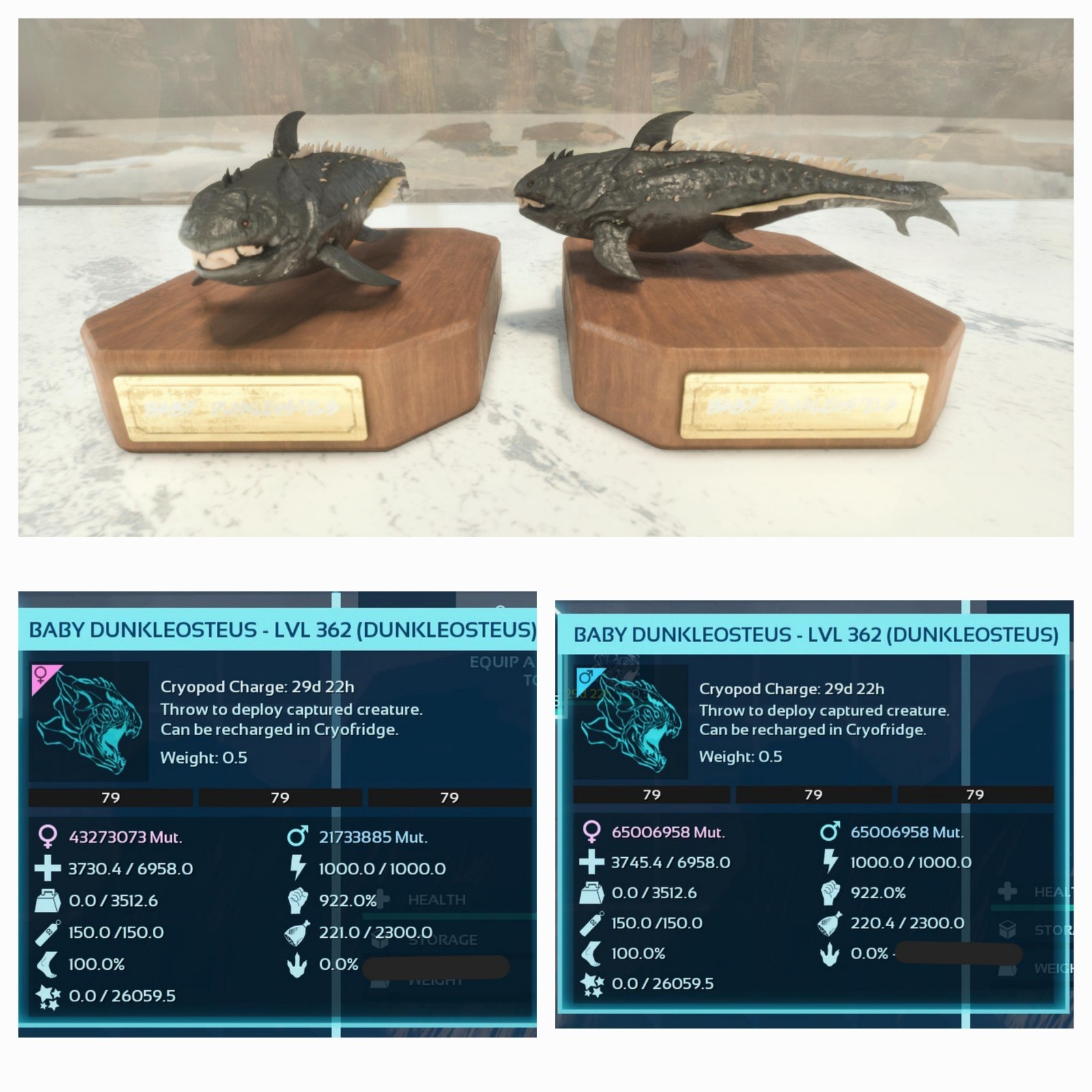 ARK ASA PVE OFFICIAL PAIR BABY DUNK BLACK ID79 3.5K WEIGHT 922%DMG TOP STATUS