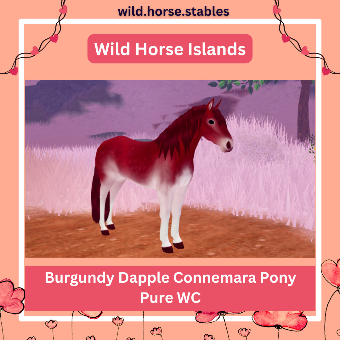 Wild Horse Islands – Burgundy Dapple Horses Wild Caught (All Breeds)