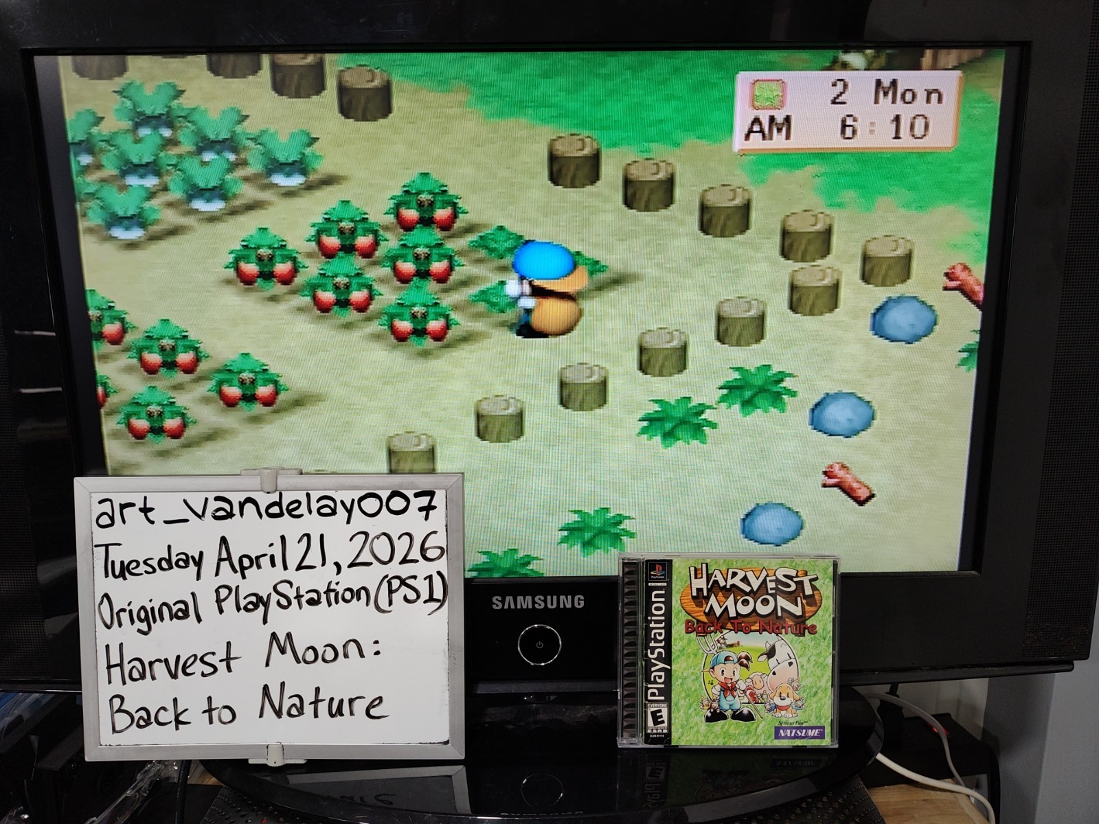 Harvest Moon: Back to Nature (PS1, 2000) *CIB w/ Reg Card + Case Protector* VGC