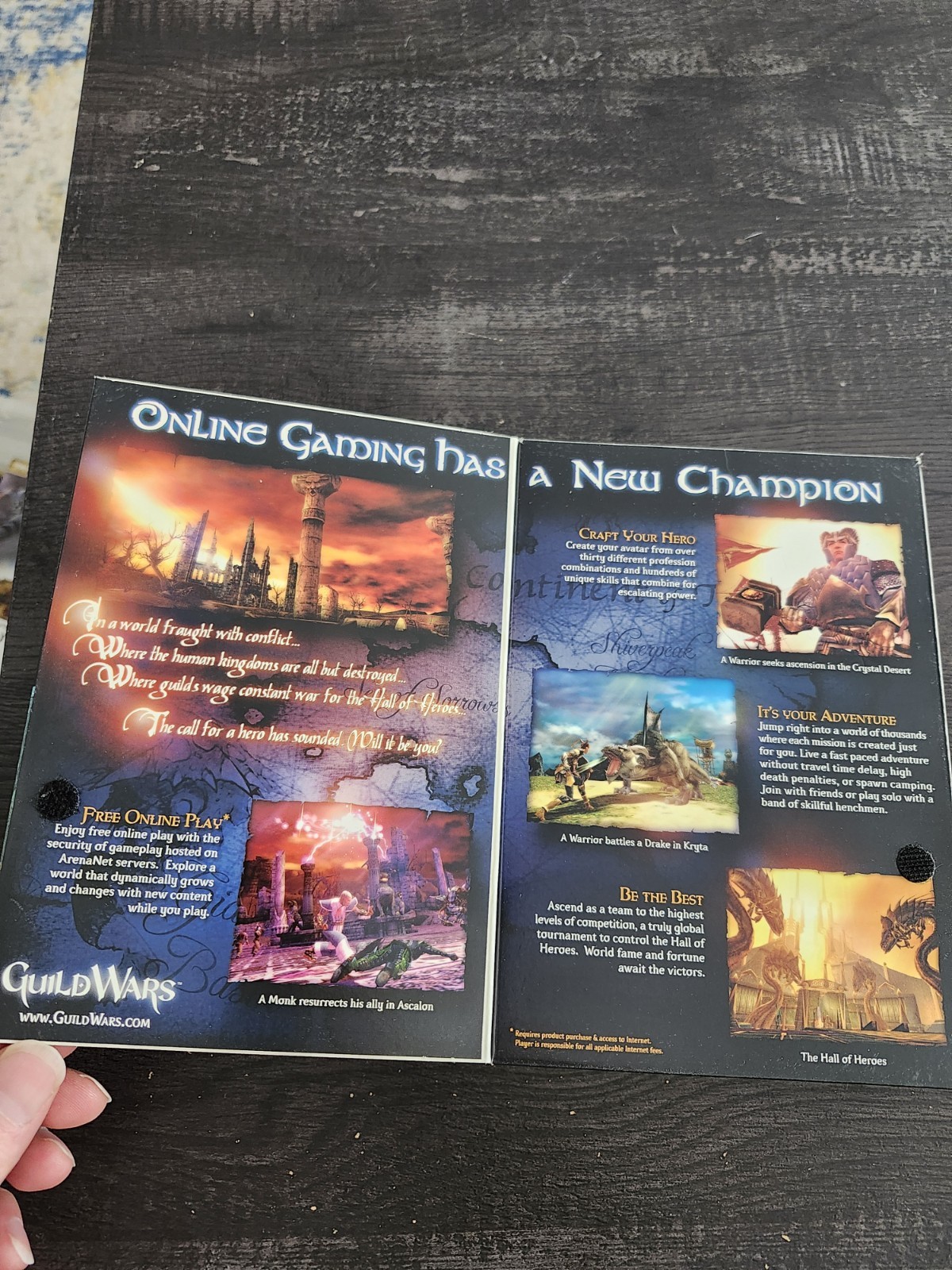 NCsoft Guild Wars (PC, 2005) CD-ROM w/ Manual