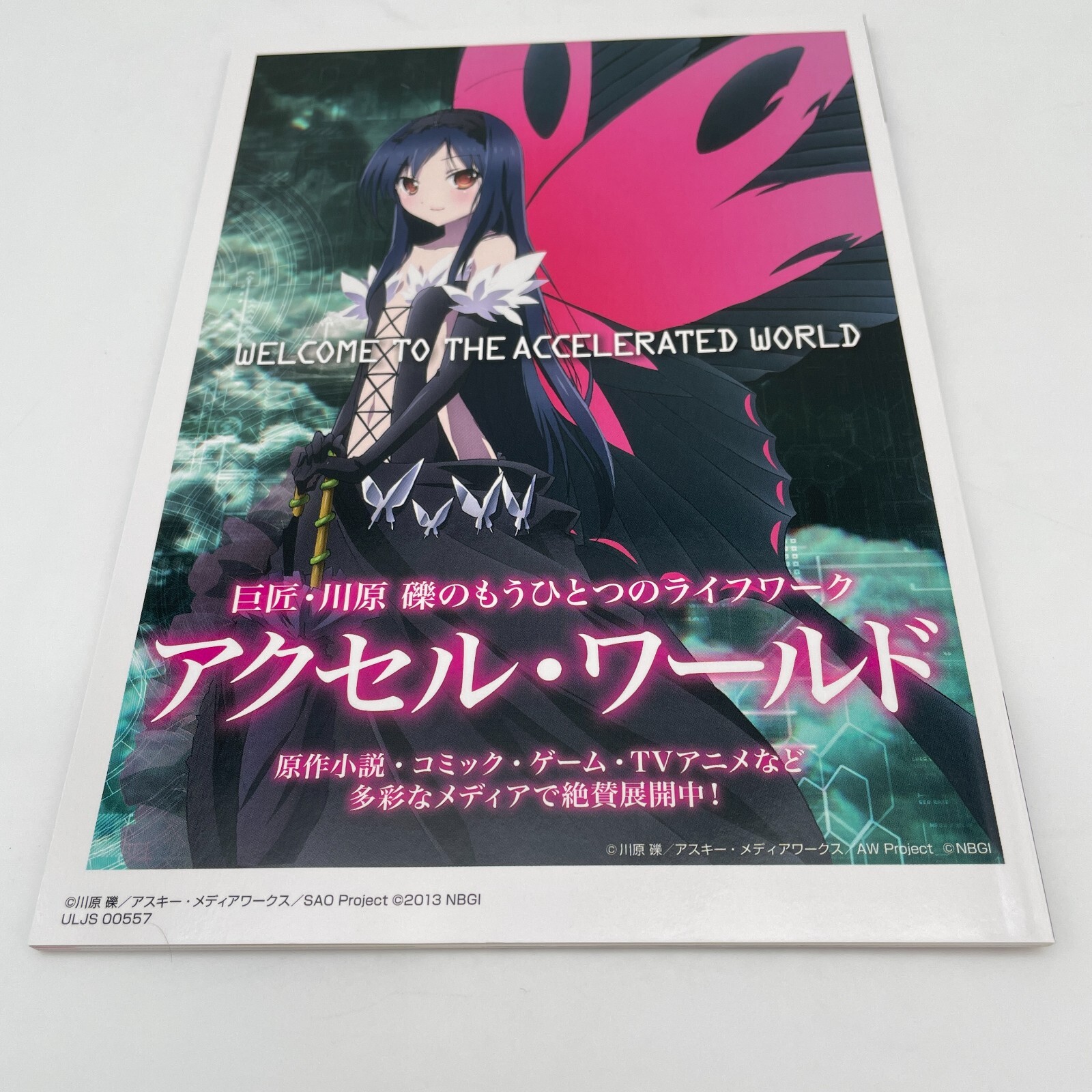 PSP Sword Art Online: Infinity Moment First Limited Edition Sony Japan import