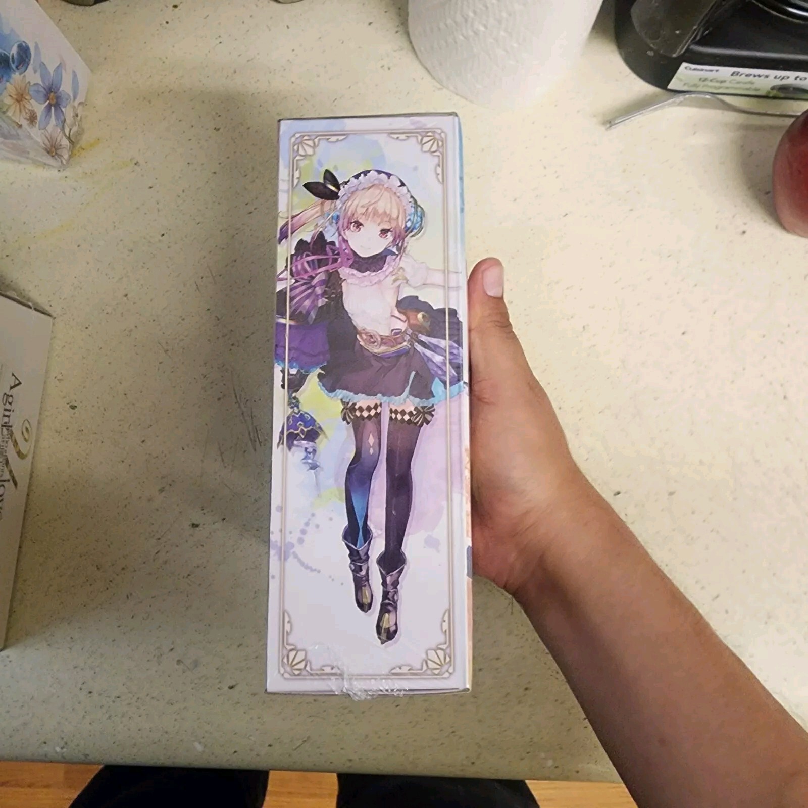 Atelier Lydie & Suelle The Alchemists and the Mysterious Paintings Switch New