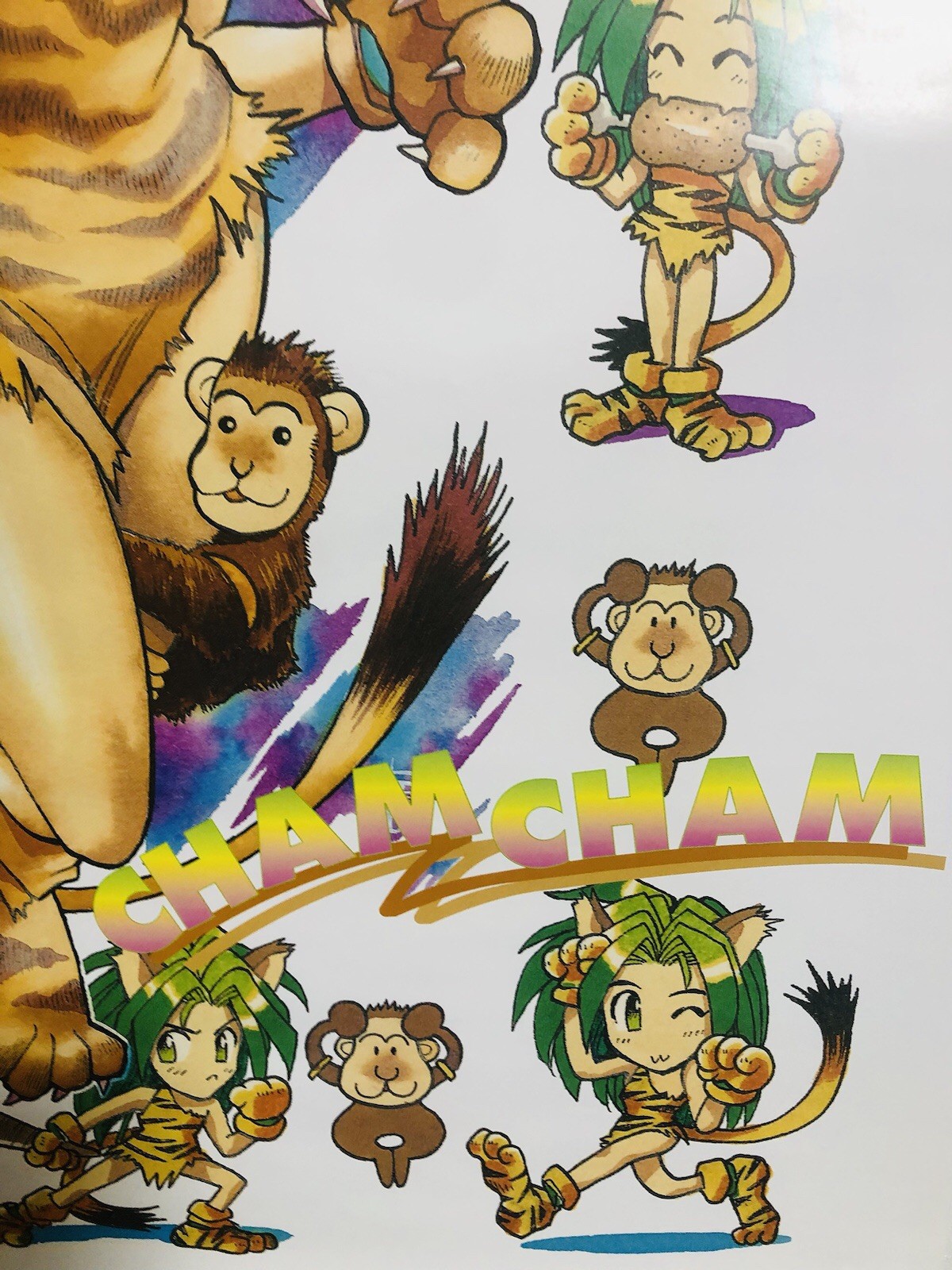 Samurai Shodown II / CHAM CHAM : AC 1994/1998 SNK Limited Poster (Roll:M 20×29in