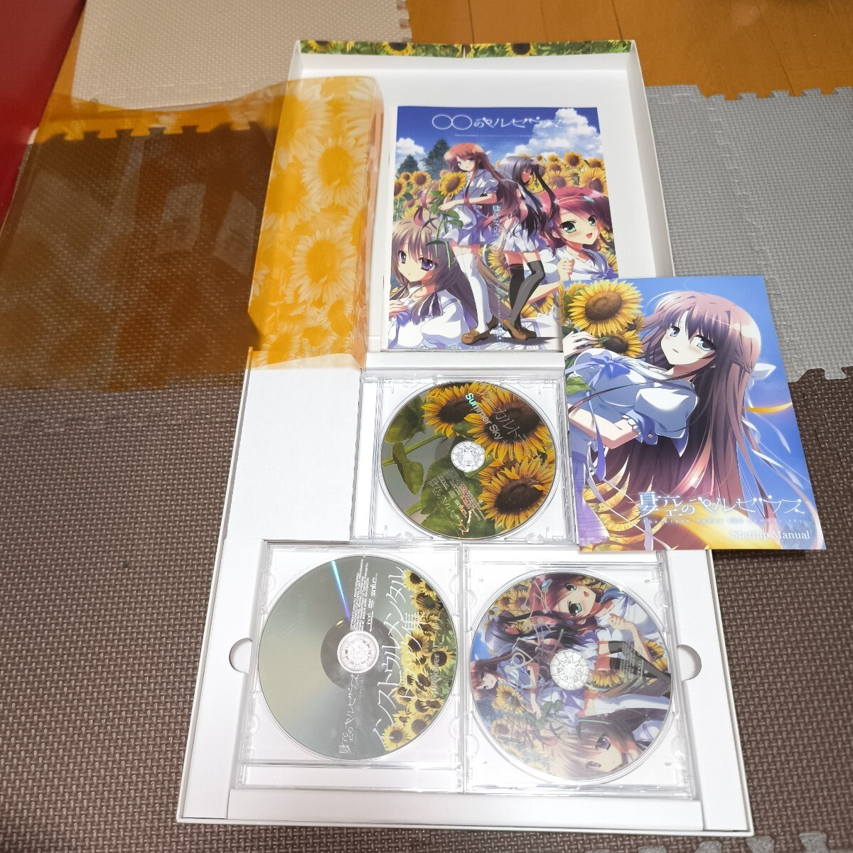 Natsuzora no Perseus Deluxe Special Edition Japanese VN PC Game for Windows USED