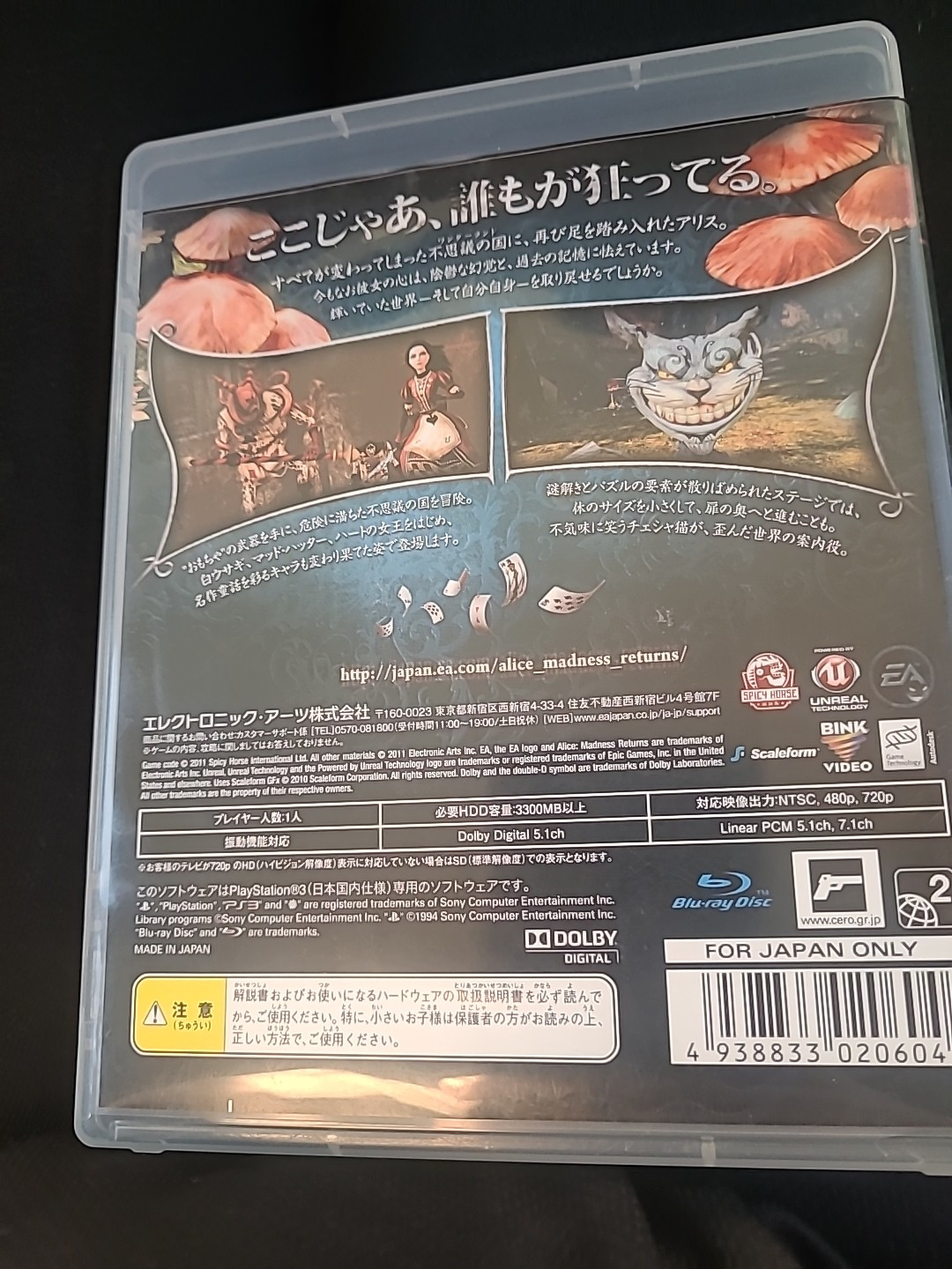 Alice Madness Returns