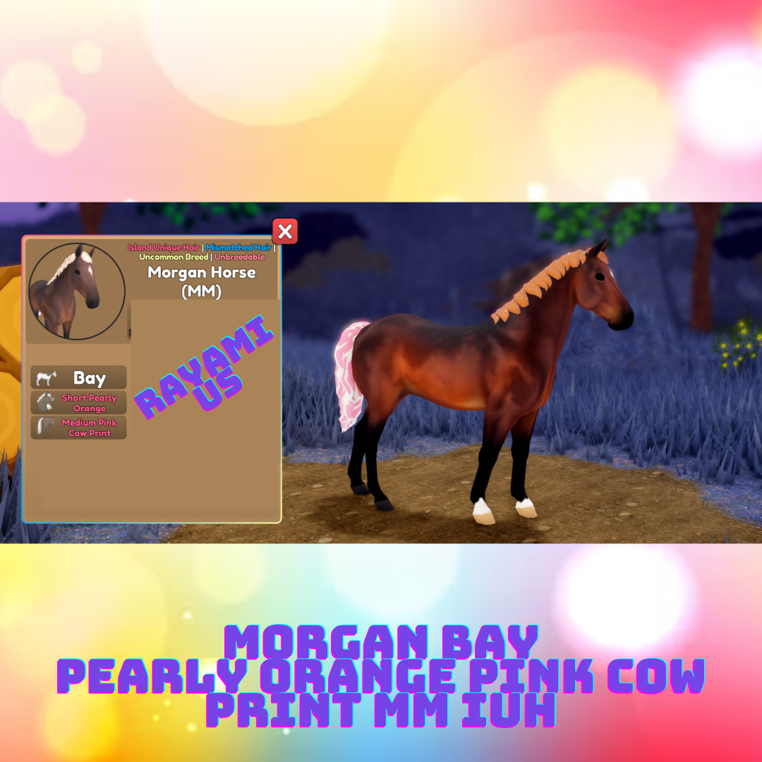 Wild Horse Islands – Morgan IUH