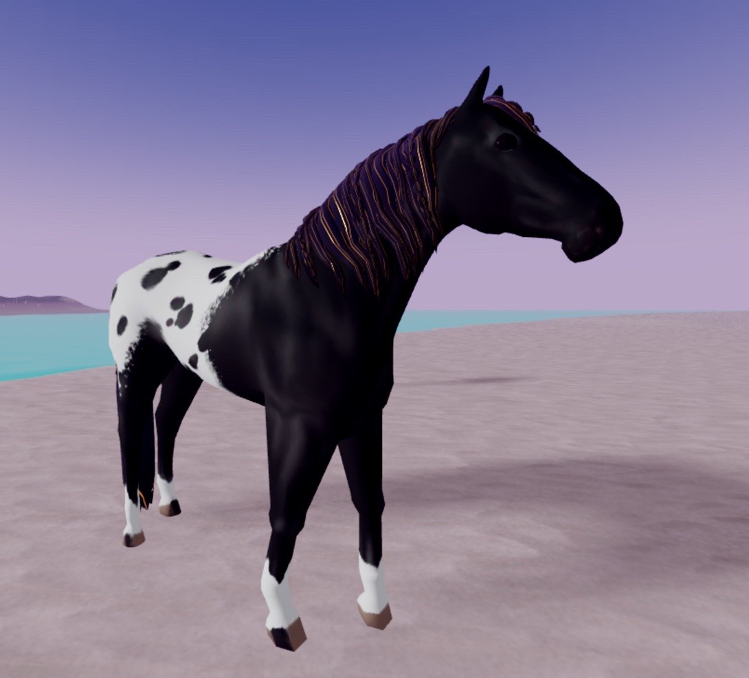 Wild Horse Islands 🌸 IUH Royal Black Blanket Appaloosa Rc 🌸