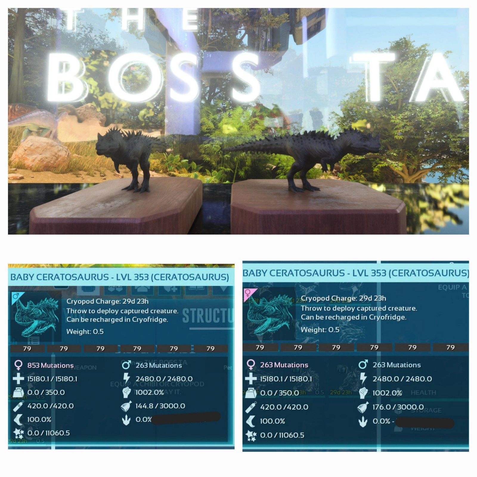 ARK ASCENDED PVE OFFICIAL PAIR BABY CERATO BLACK ID79 NEW TOP STATUS PC/XBOX/PS5