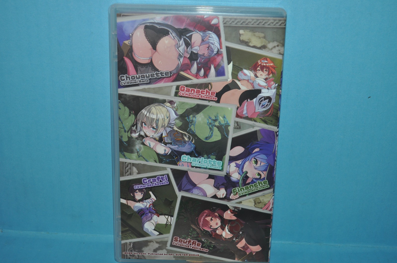 PRISON PRINCESS TRAPPED ALLURE COLLECTION Nintendo Switch W 4 Cover ART Adult