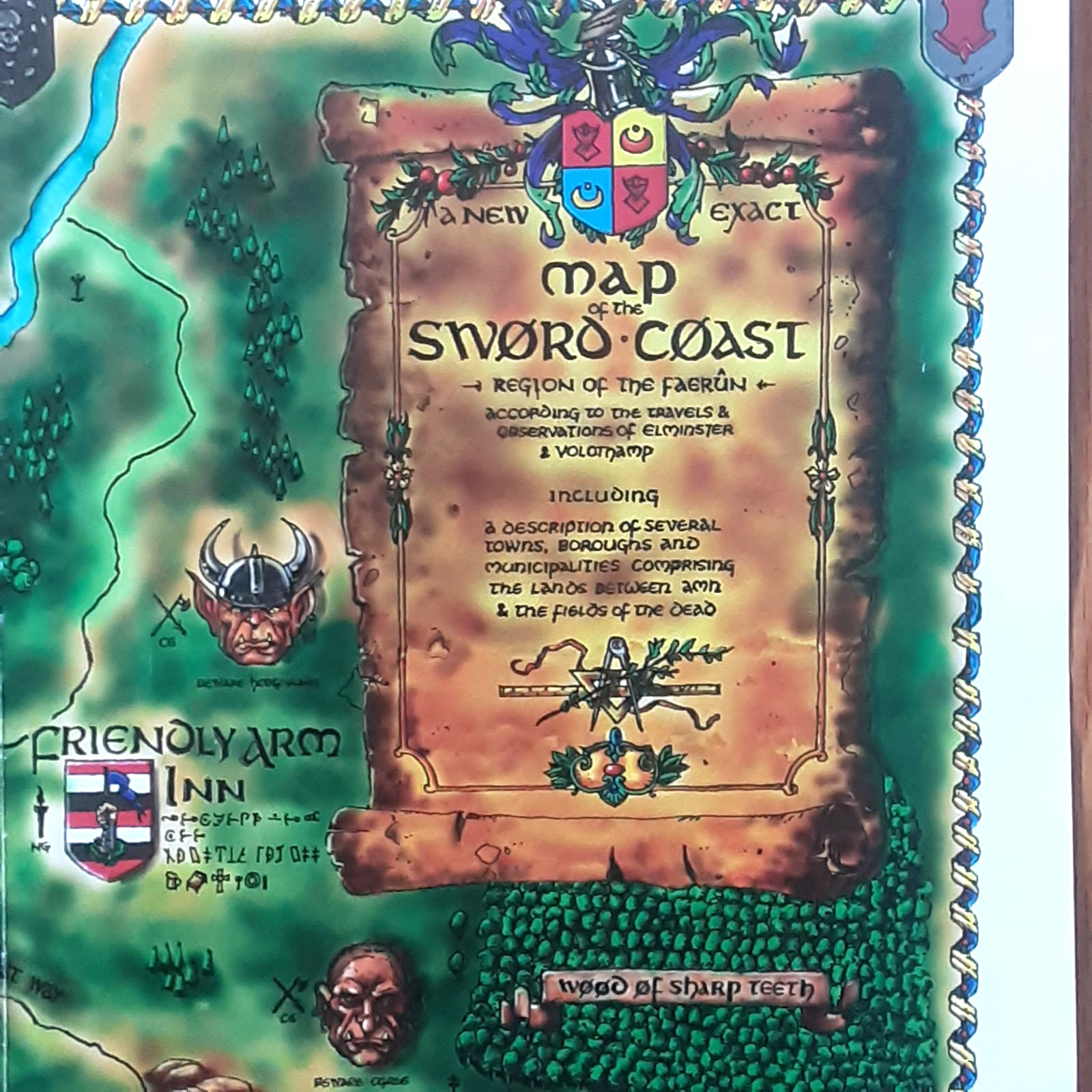 BALDUR ’S GATE SWORD COAST MAP FOLD OUT POSTER INSERT FOLDED