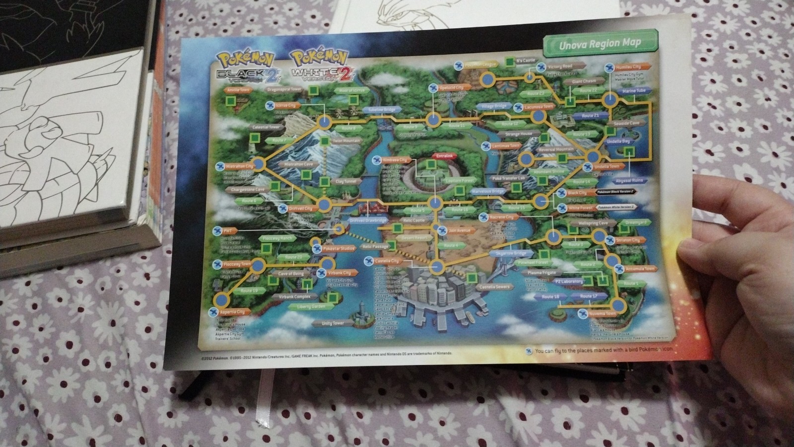 Pokemon Black & White LTD Collector’s Edition Strategy Guide & Unova Pokedex