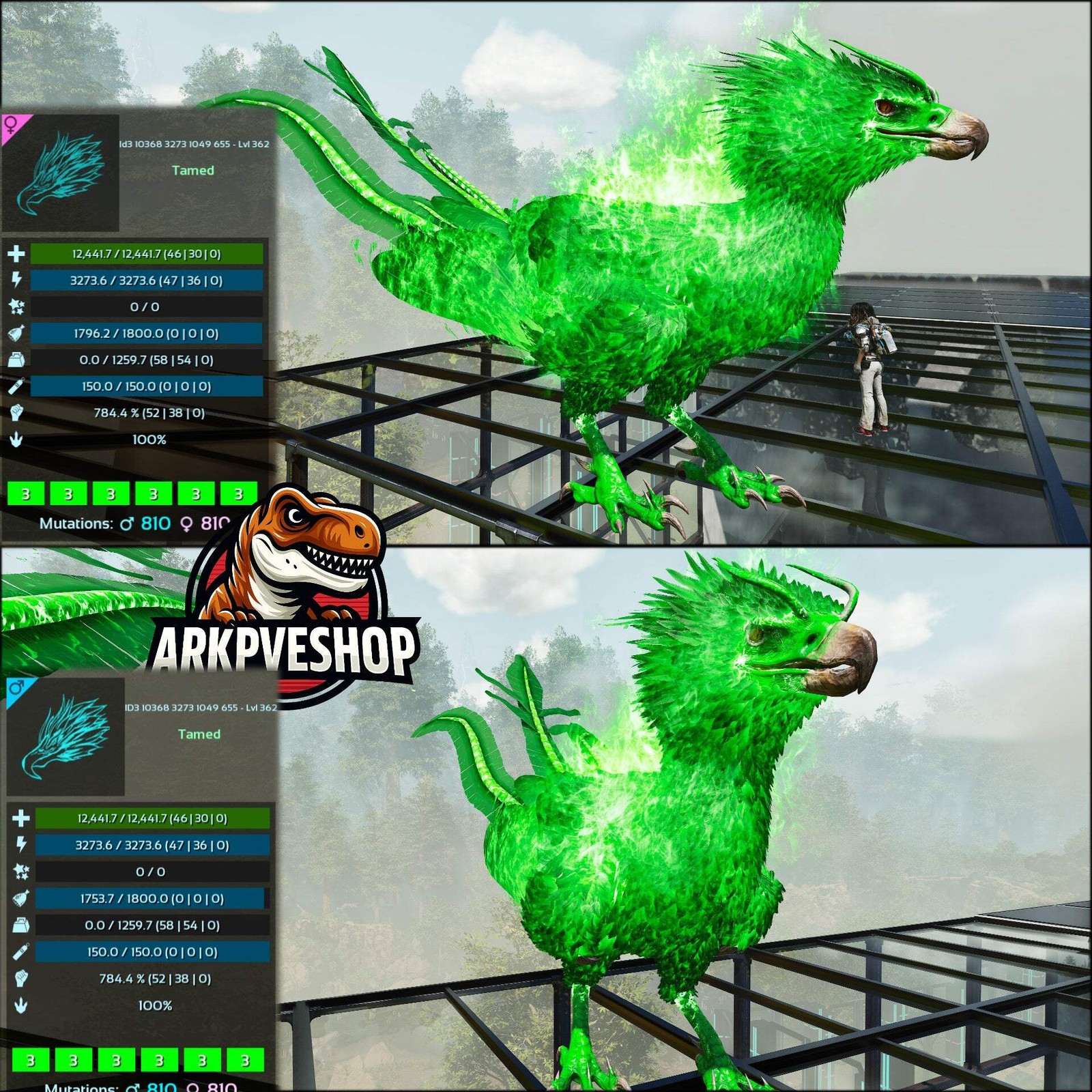 Phoenix Lvl 362 ASA PVE 🦖ARK Survival Ascended
