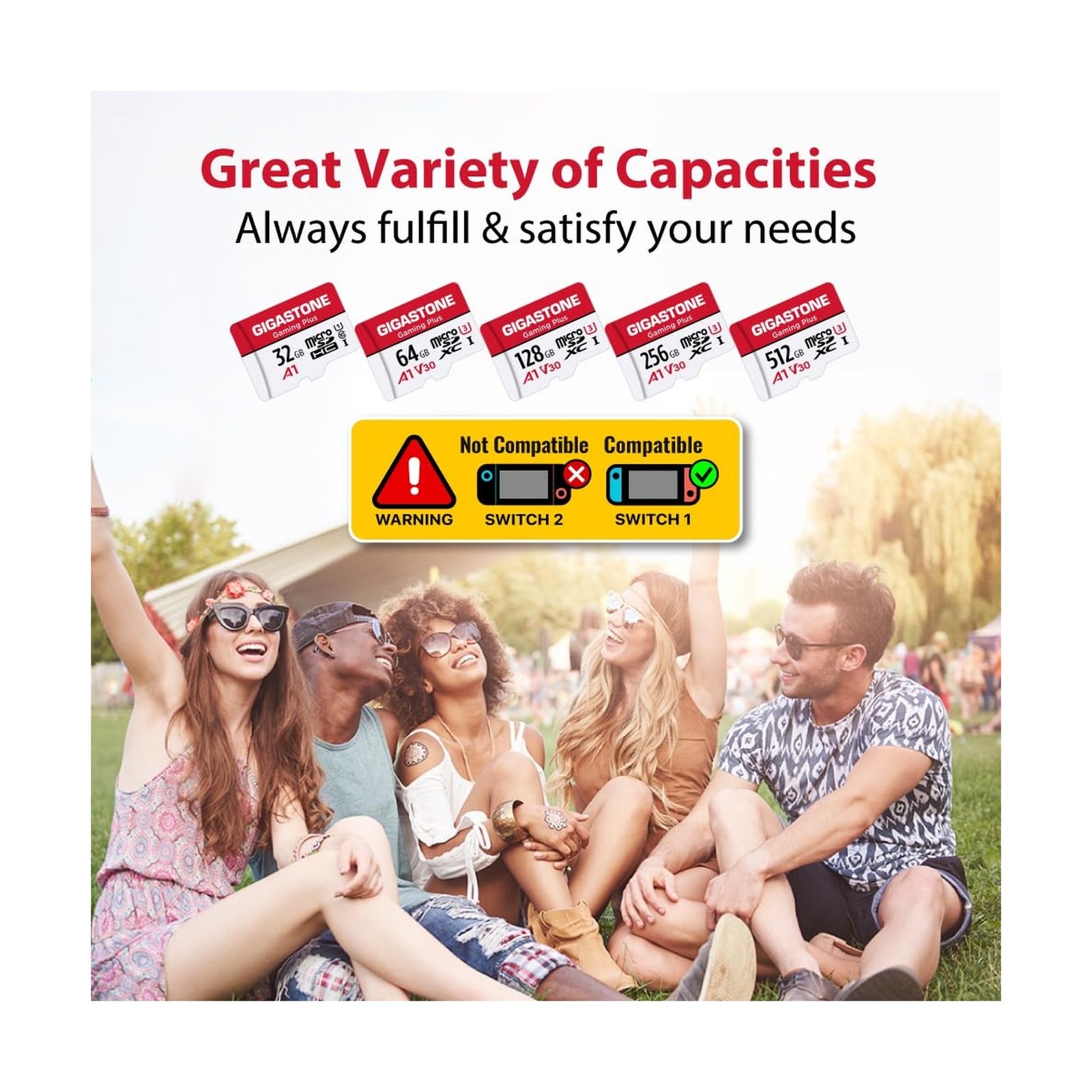 【for Switch 1 Only】 GIGASTONE 512GB Micro SD Card with USB C Card