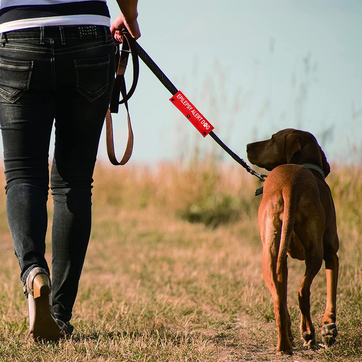 Emergency Medical Dog Leash Sleeve 8.7*2.4 inches, Epilepsy Alert-sleeve
