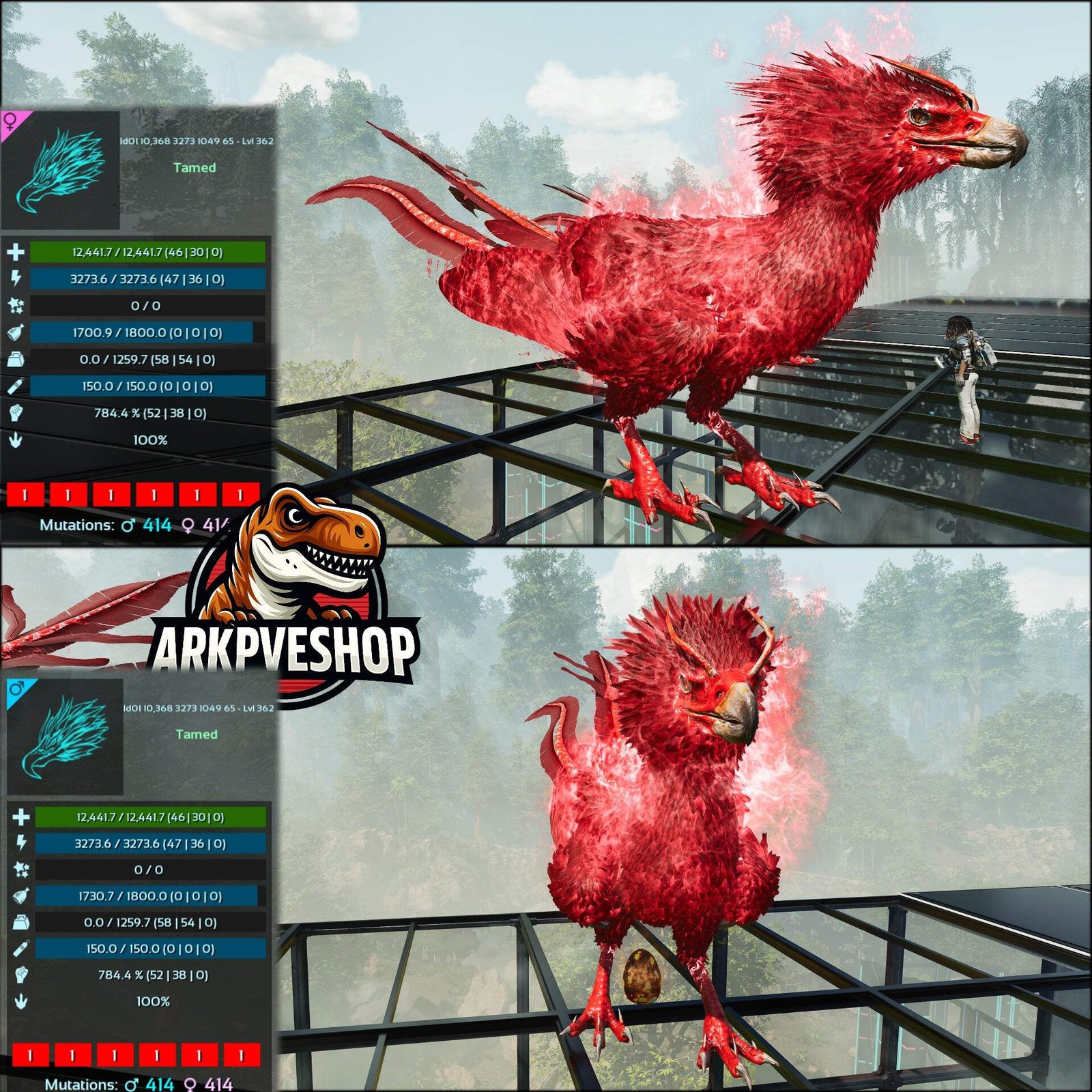 Phoenix Lvl 362 ASA PVE 🦖ARK Survival Ascended