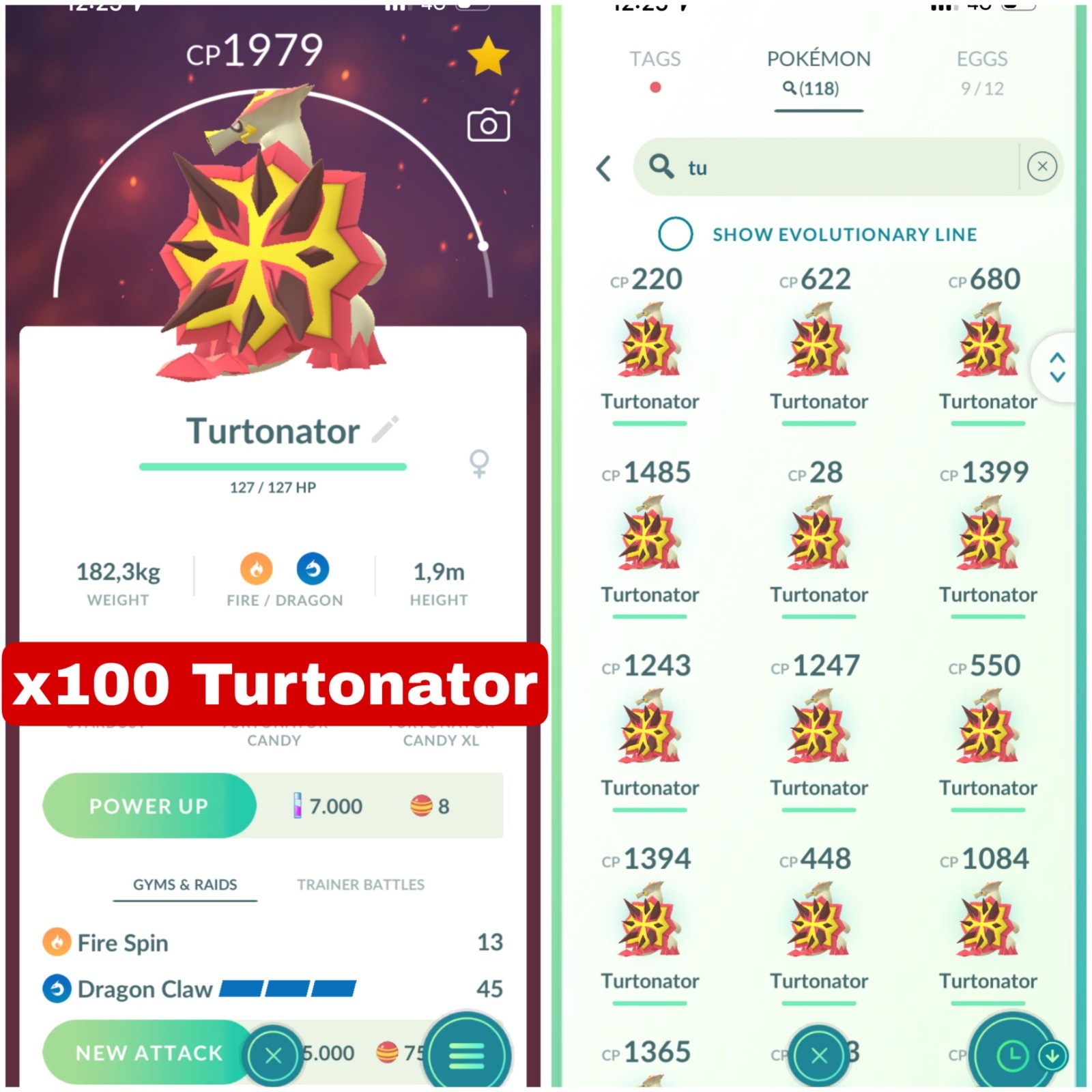 Turtonator x100 | Mini P T C 500K Stardust