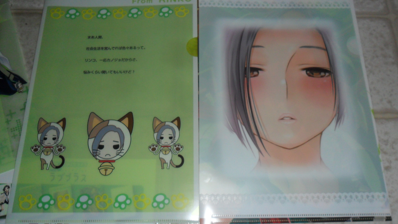 Nintendo DS Love Plus Loveplus Rare Promo Clear File Folder Set