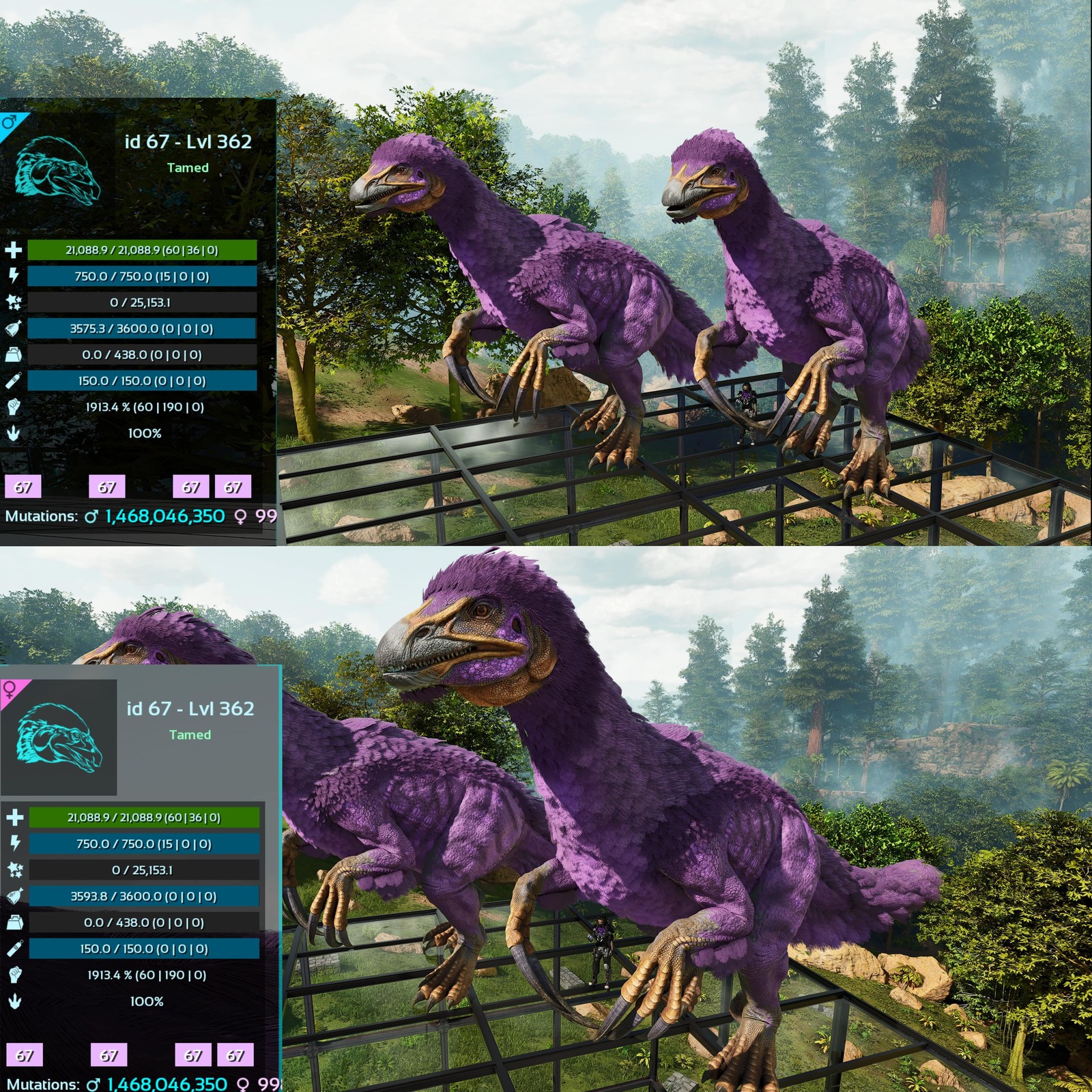 ASA PVE 🦖ARK Survival Ascended Therizinosaurus / Theri 1913Melee Imprinted