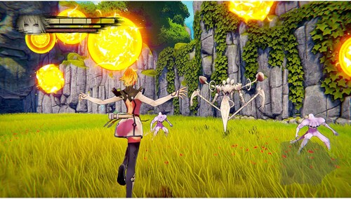 Anima Gate Of Memories I & II Remaster Special Collector’s Edition for Playstati