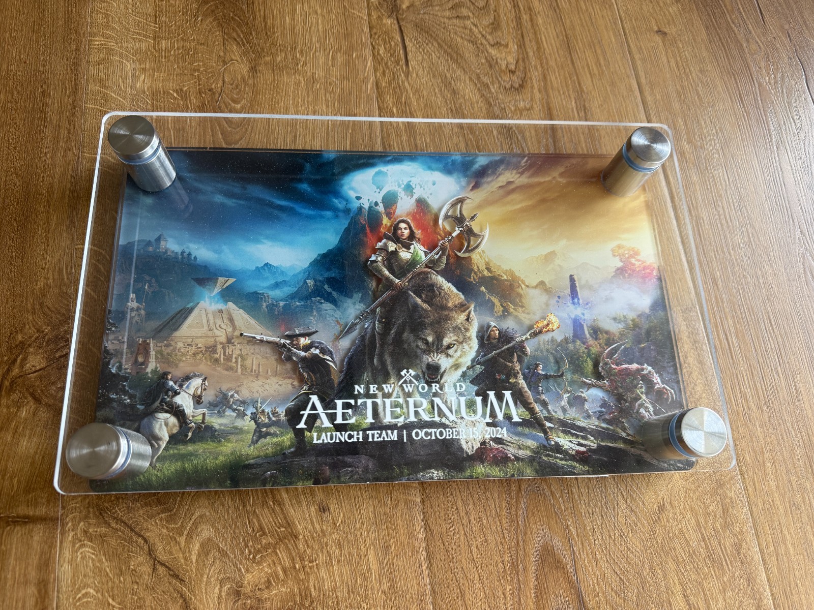 Amazon Games New World Aeternum Launch Team Plaque VERY RARE