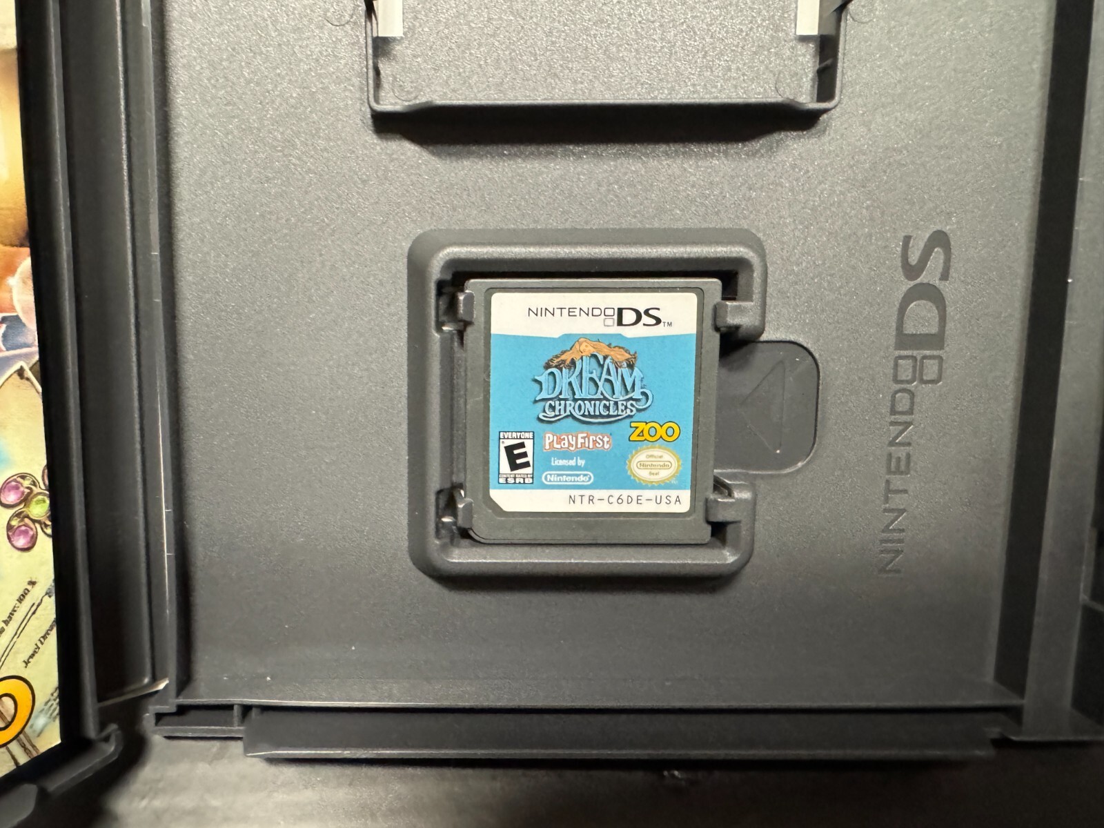 Dream Chronicles (Nintendo DS, 2010)