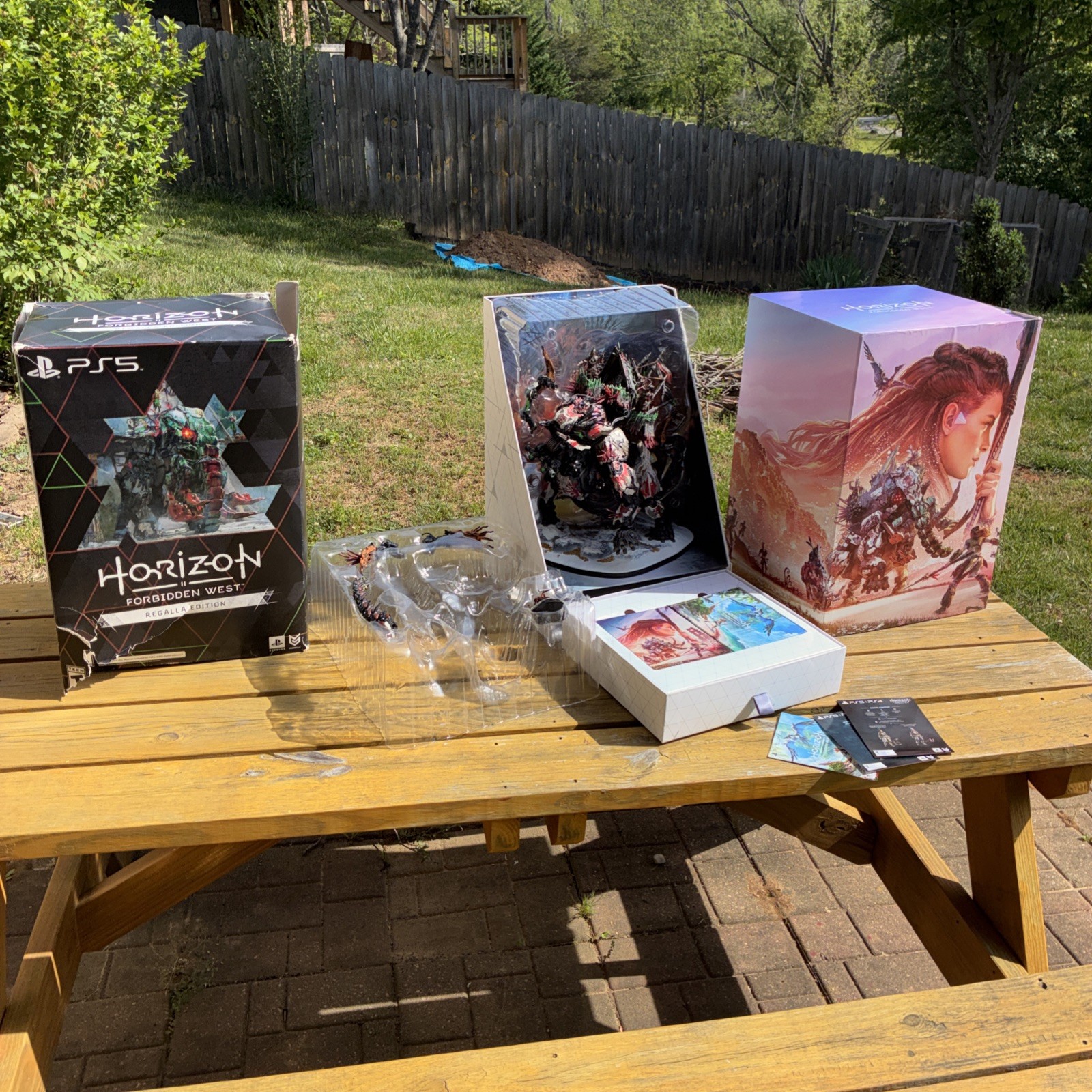 PS5 Horizon Forbidden West Regalla Edition – Statue & Collectibles – NO GAME