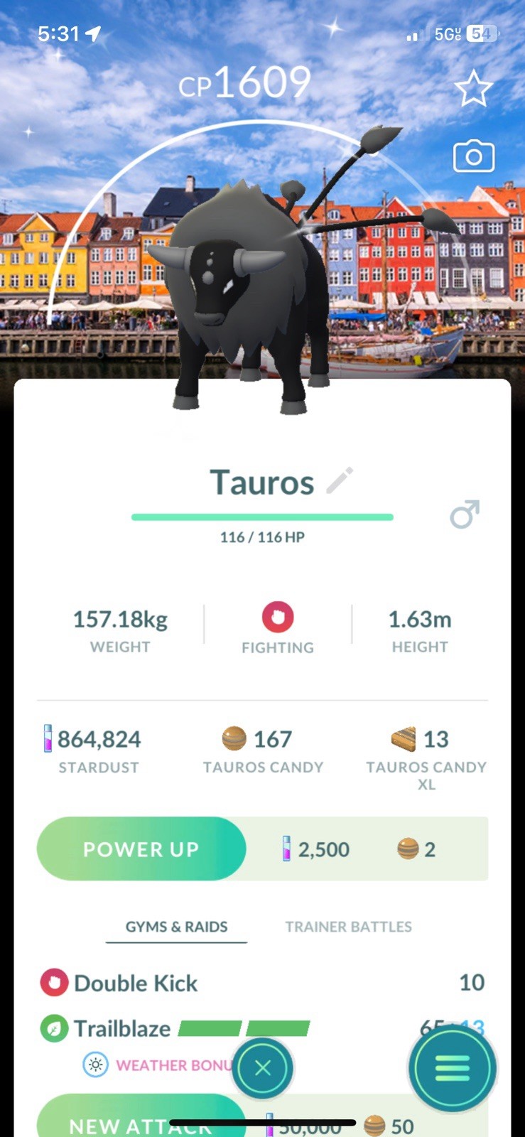 Shiny Combat Breed Paldean Tauros Copenhagen-Background🔥🔥-tr@de✨Pokémon G0