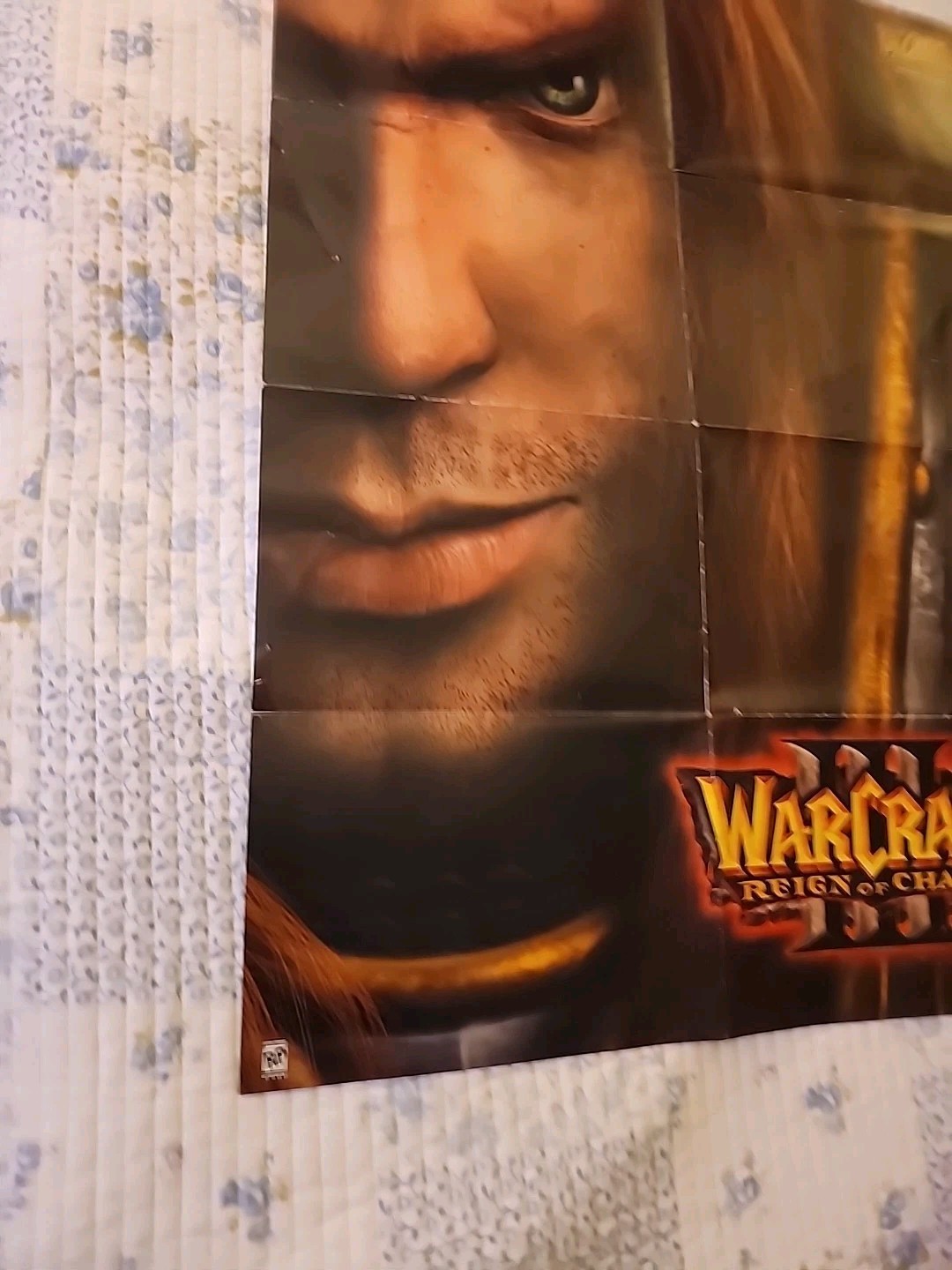 2002 Warcraft III Reign of Chaos Blizzard Entertainment Development Team Poster