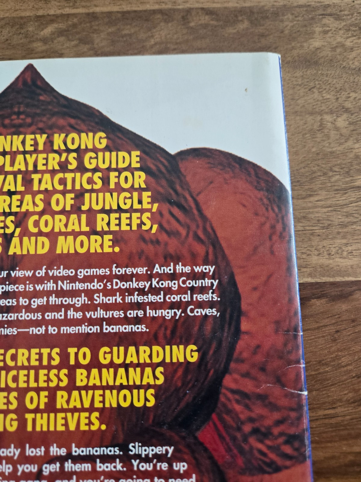 Donkey Kong Country Nintendo Player’s Guide SNES Official Nintendo 1994