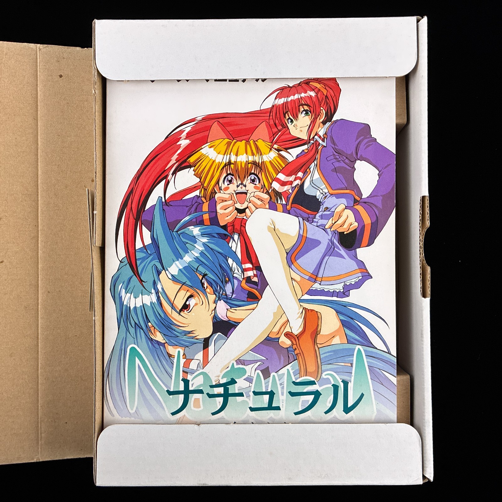 Fairytale Natural Mi mo Kokoro mo Premium Windows CD-ROM VN Visual Novel Game