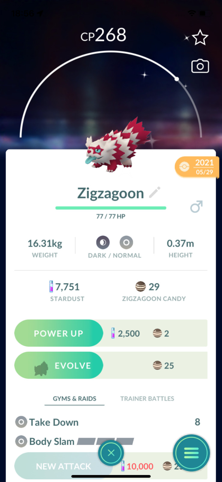 Pokemon TRADE – Shiny Galarian Zigzagoon !! 30 Days Friendship Bonus !!
