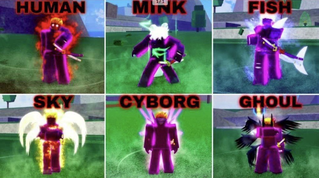 ✅Blox Fruits✅️Lv2800⭐6 Races Full Gear V4
