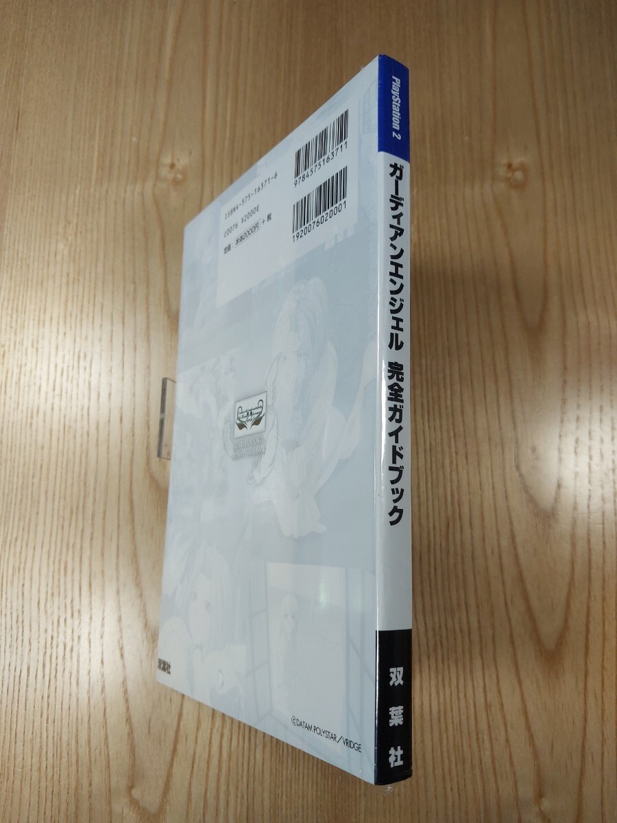 Guardian Angel PS2 Strategy Guide Book, Complete, Free Shipping