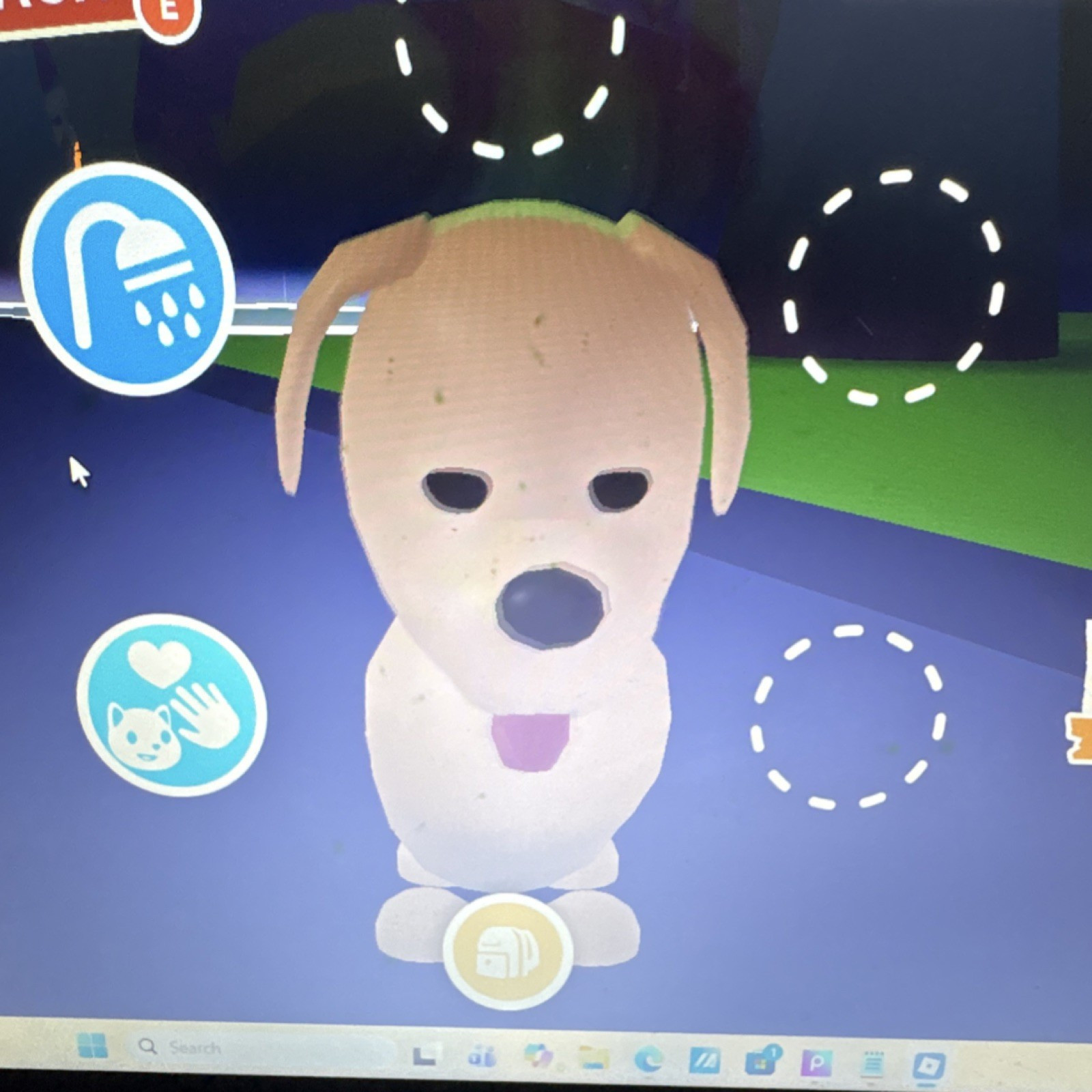 Adopt Me! Dog Newborn Virtual Pet PC Multiplayer In-Game Item