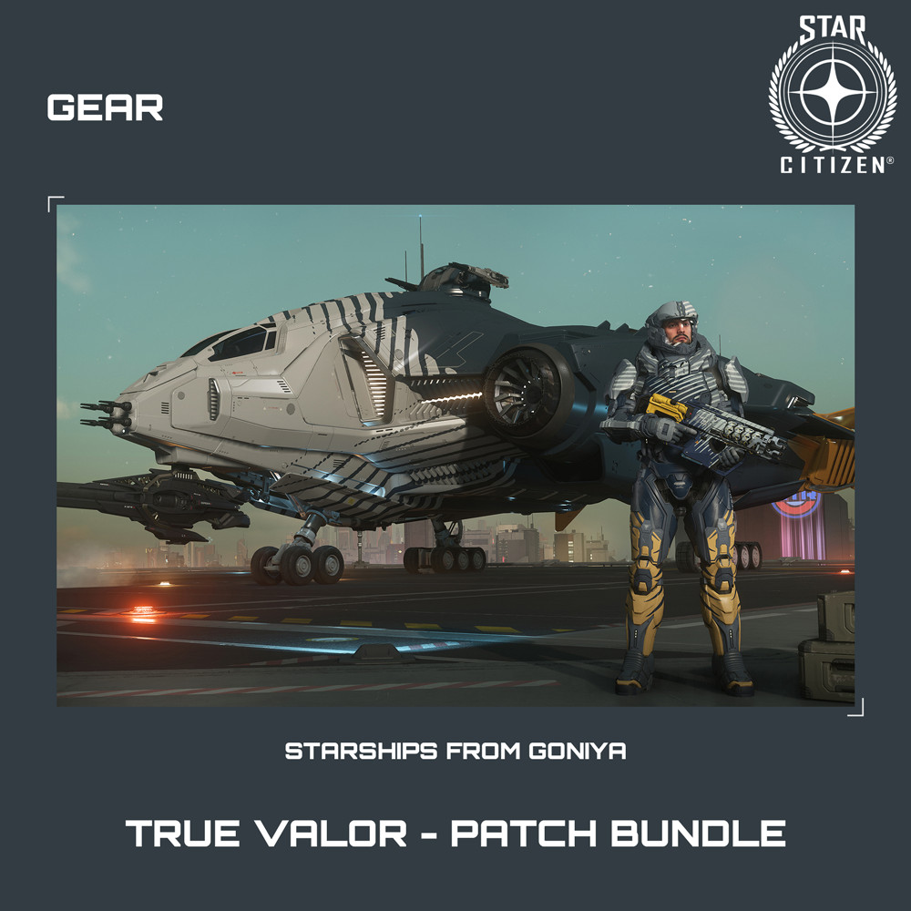 STAR CITIZEN – GEARS – TRUE VALOR – PATCH BUNDLE (LIMITED ITEM)