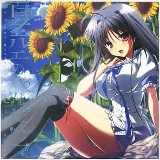 Natsuzora no Perseus Deluxe Edition PC Game Japanese PC Game Windows7/8 New