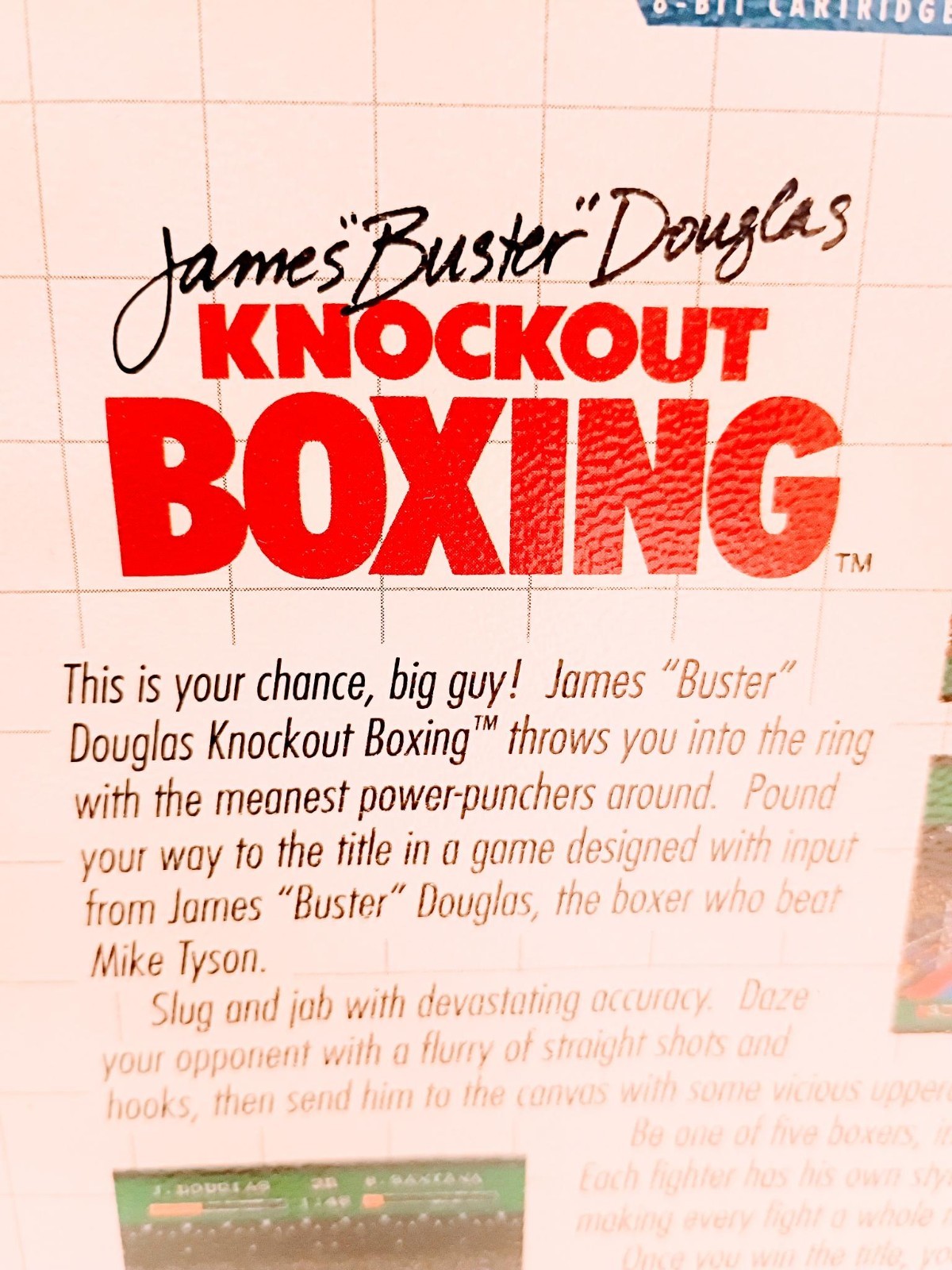 James “Buster” Douglas Knockout Boxing (Sega Master System) Box and Cartridge