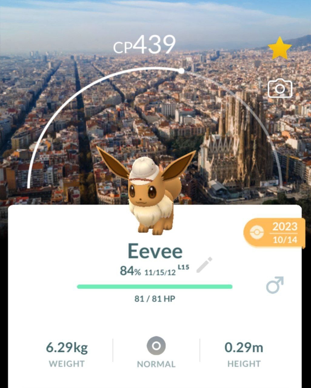 Non shiny eevee explorer hat safari Barcelona Background ✨Pokemon GO✨