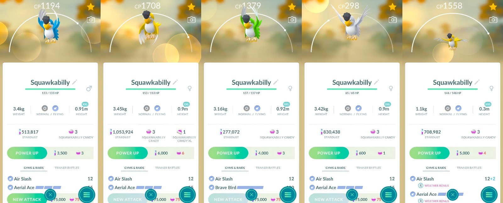 Squawkabilly (Yellow, White, Blue, Green) XXL, XXS | Tr-de Go✨