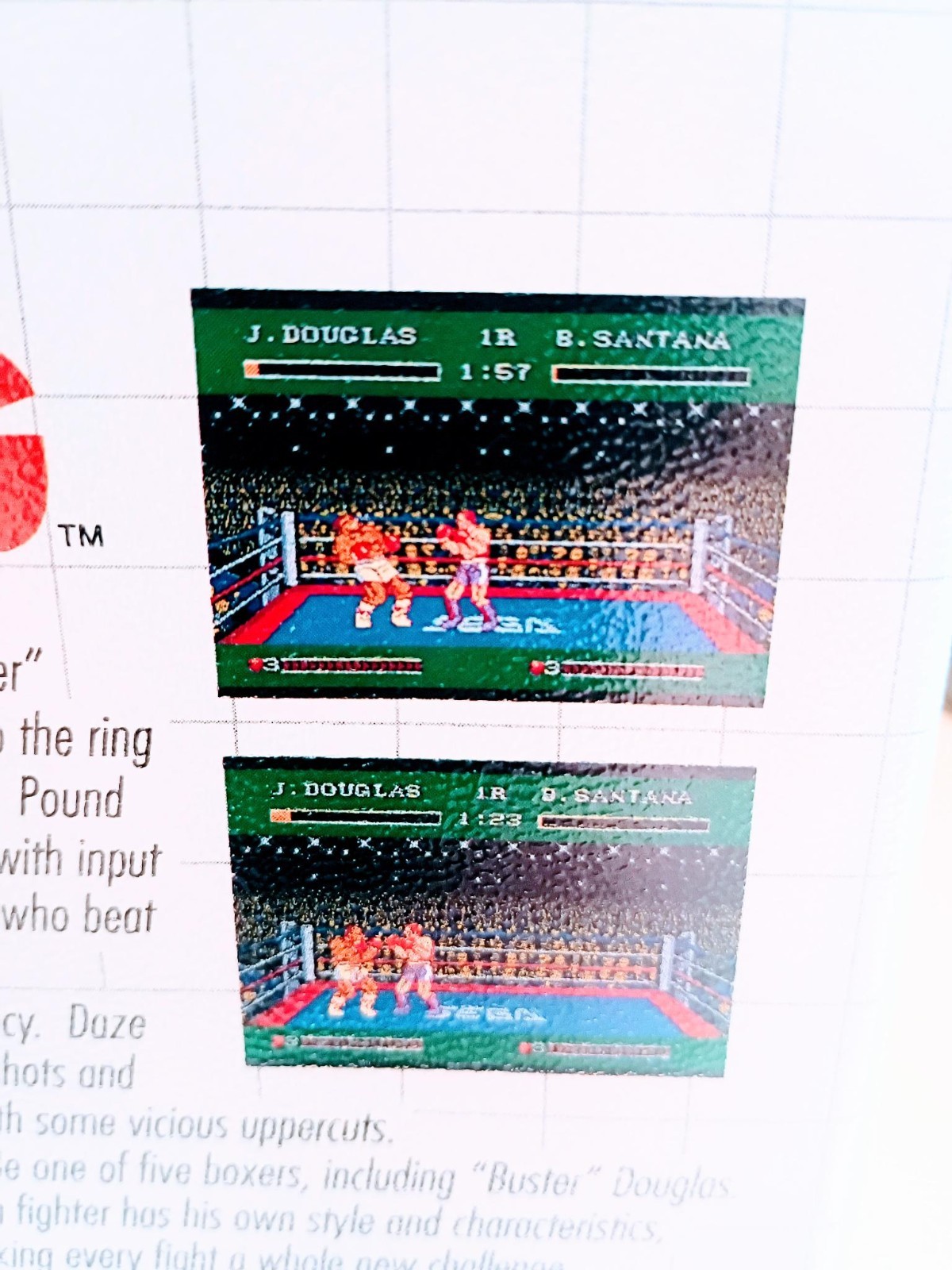 James “Buster” Douglas Knockout Boxing (Sega Master System) Box and Cartridge